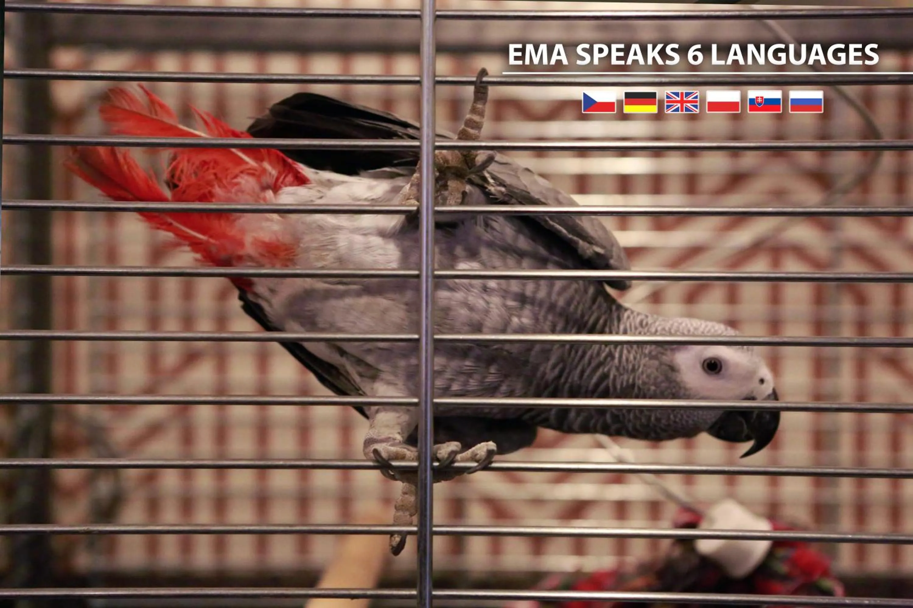 Entertainment in COLORFACTORY SPA Hotel - Czech Leading Hotels