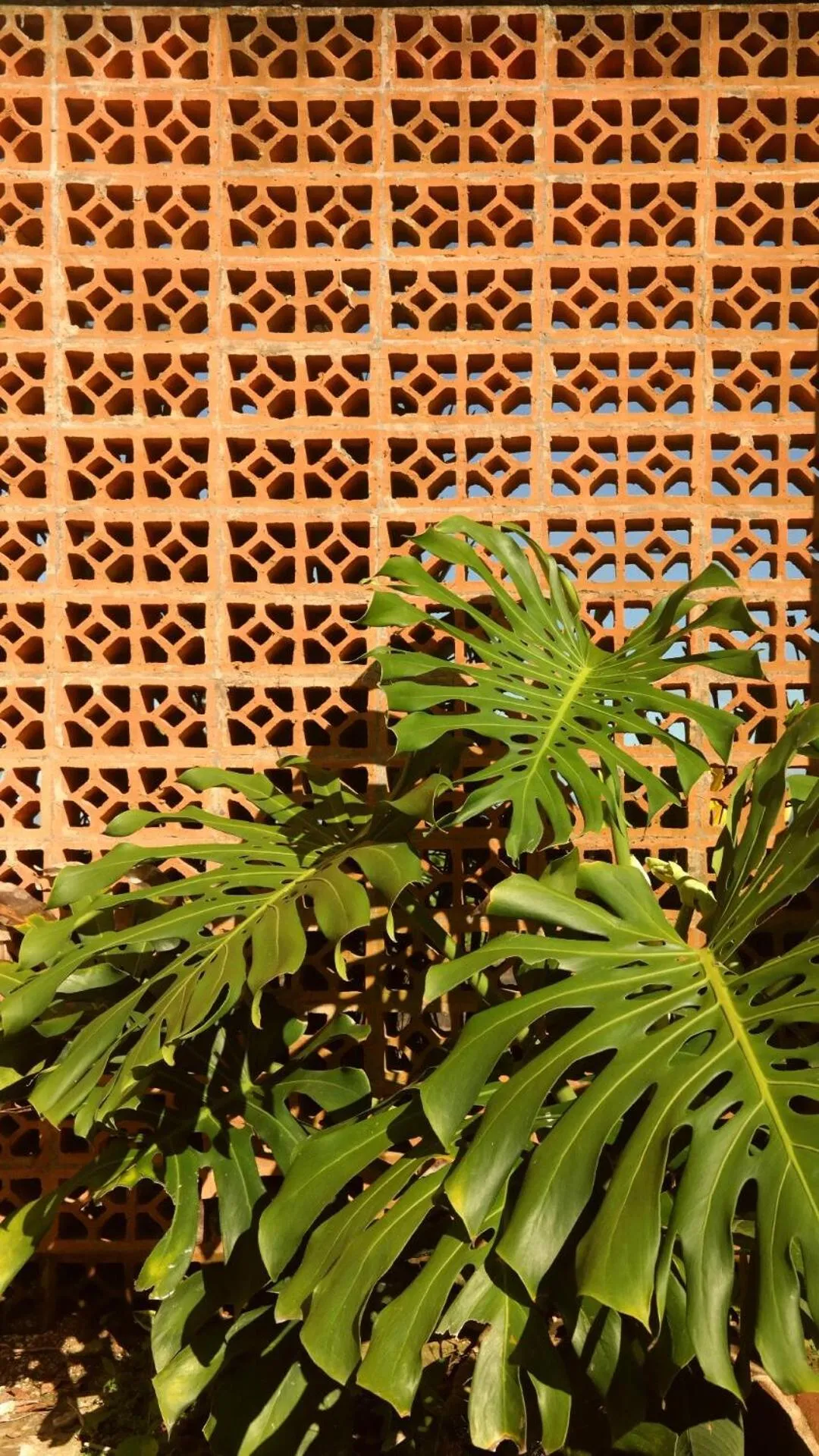 Property building in Cabana Surf and Stay