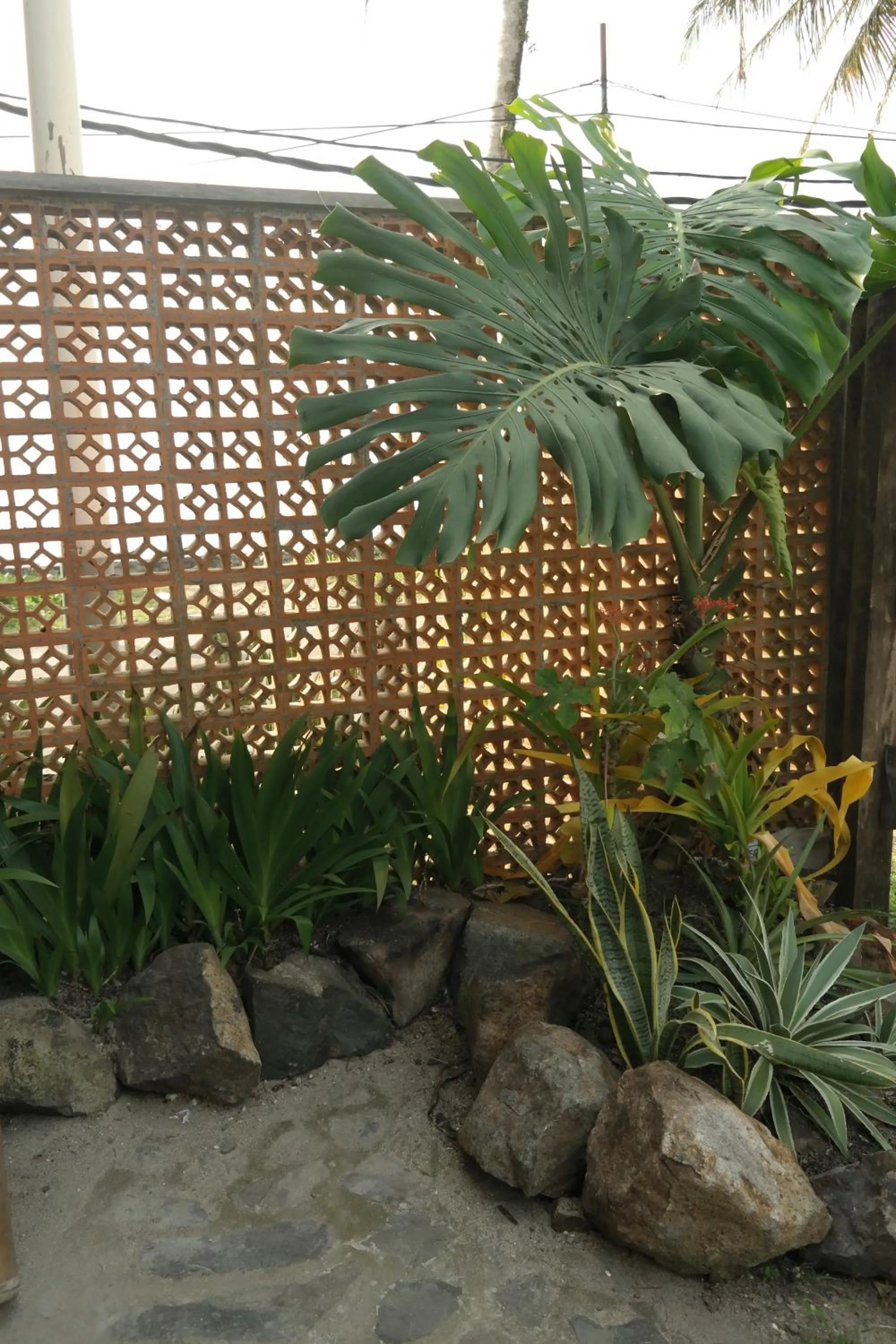 Garden view in Cabana Surf and Stay