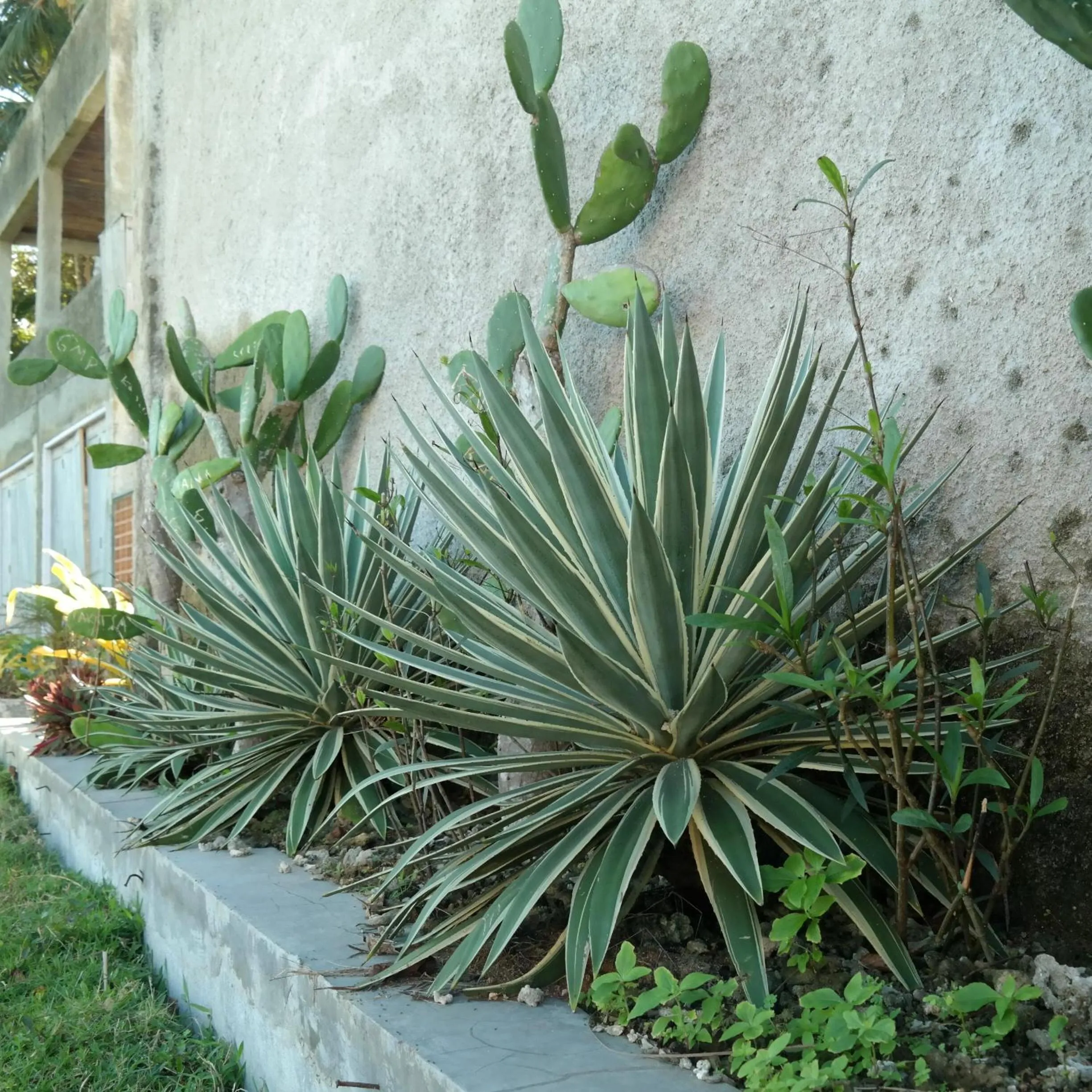 Property building in Cabana Surf and Stay