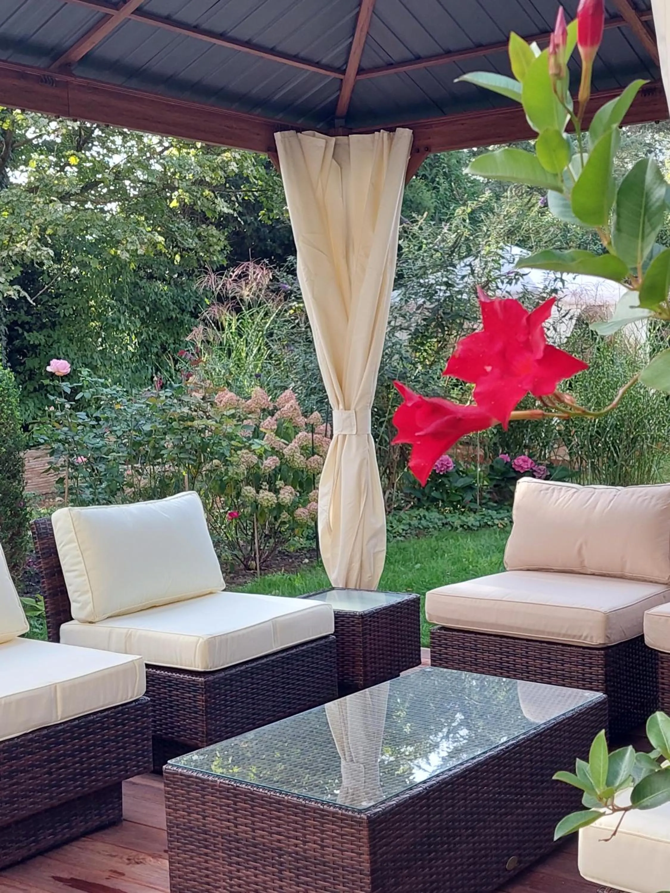 Garden in Paleo Finest Serviced Apartments
