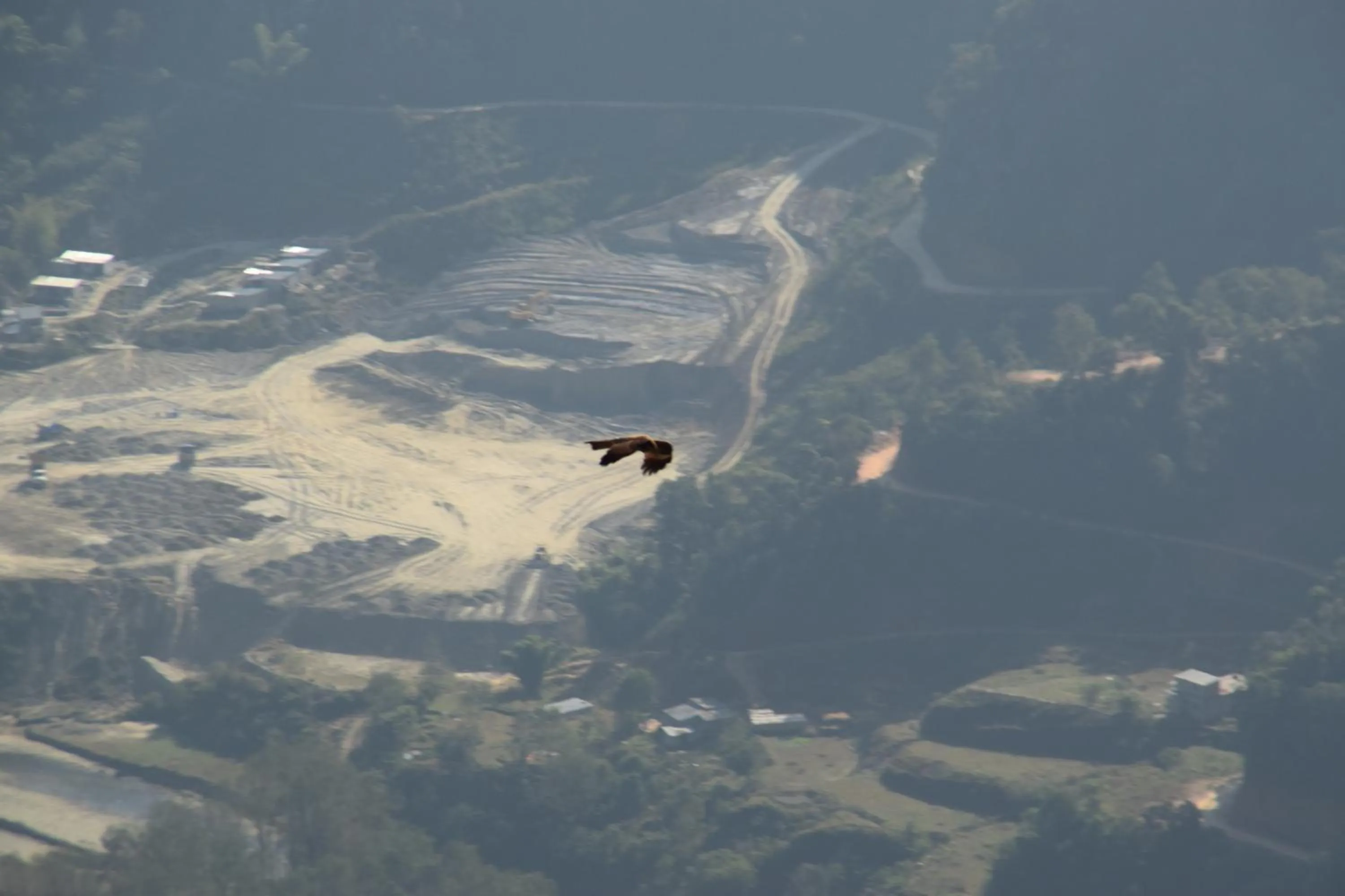 Bird's eye view in Siddhartha Garden Ayurveda