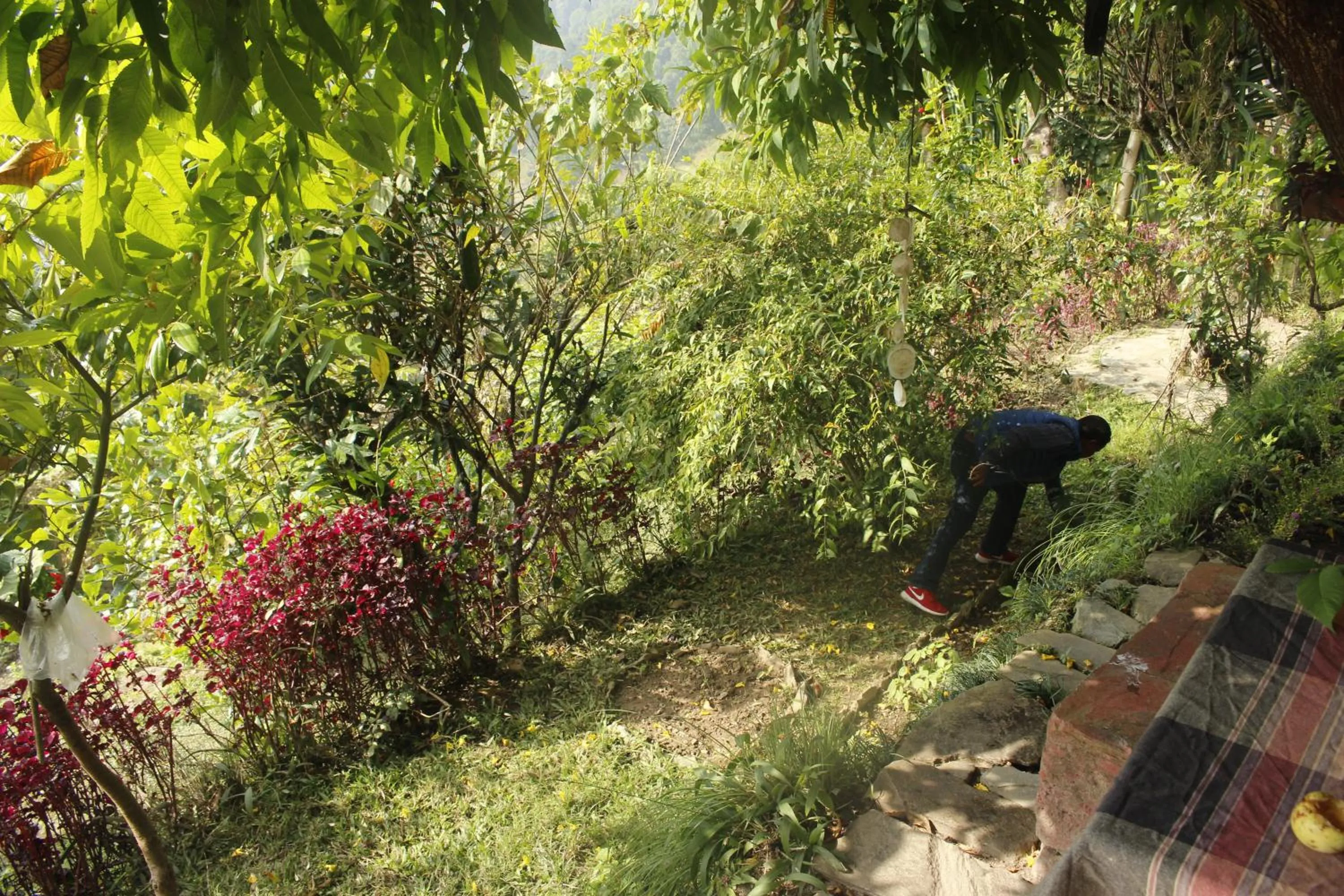 On site in Siddhartha Garden Ayurveda