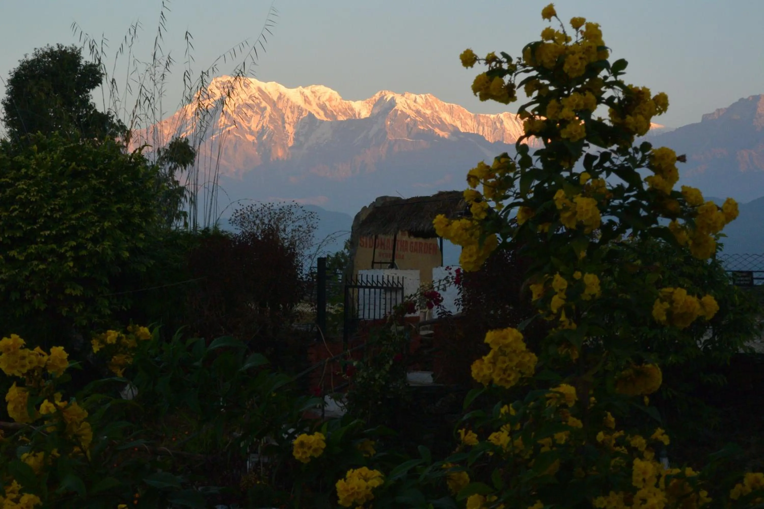Mountain view in Siddhartha Garden Ayurveda