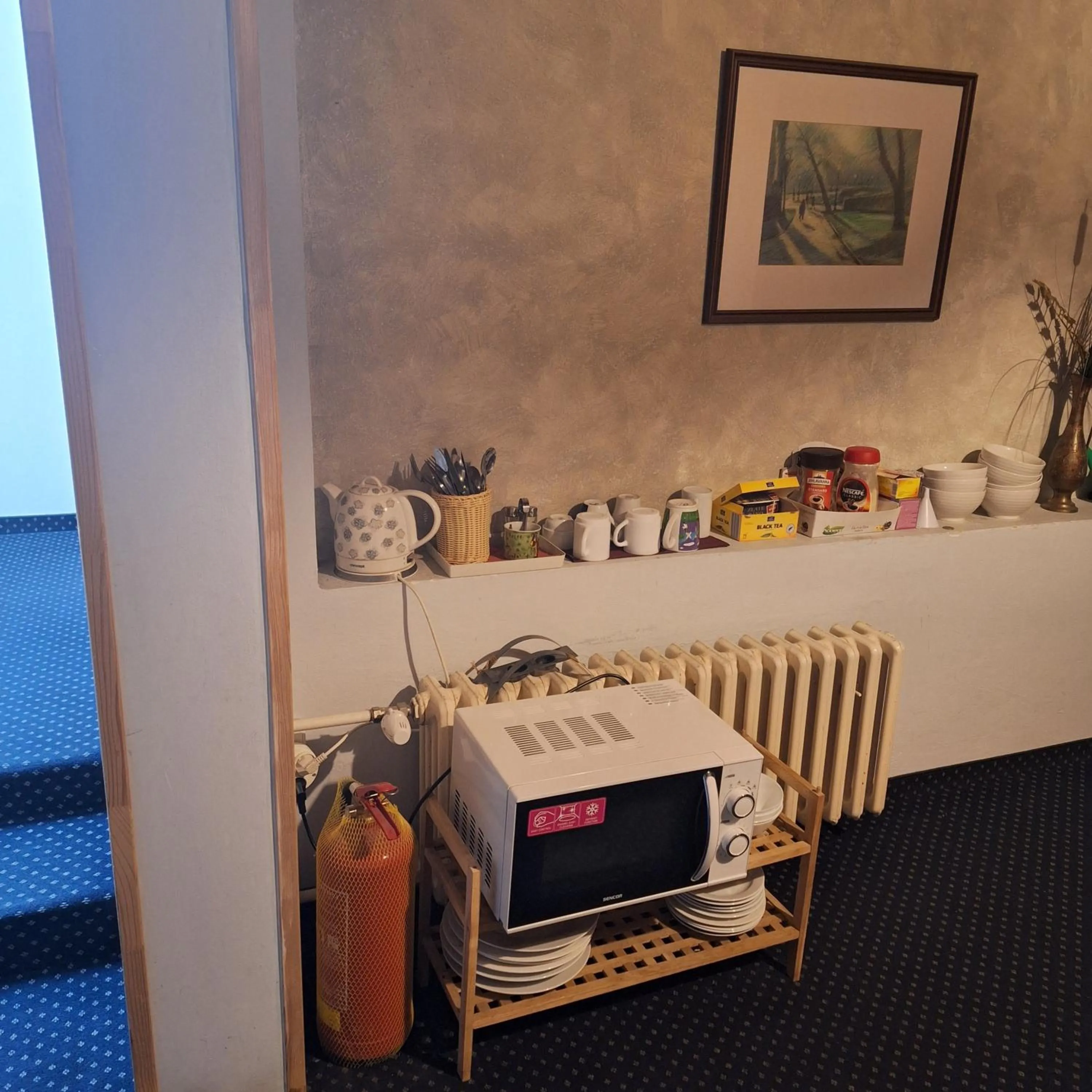 microwave in Pension Lukas