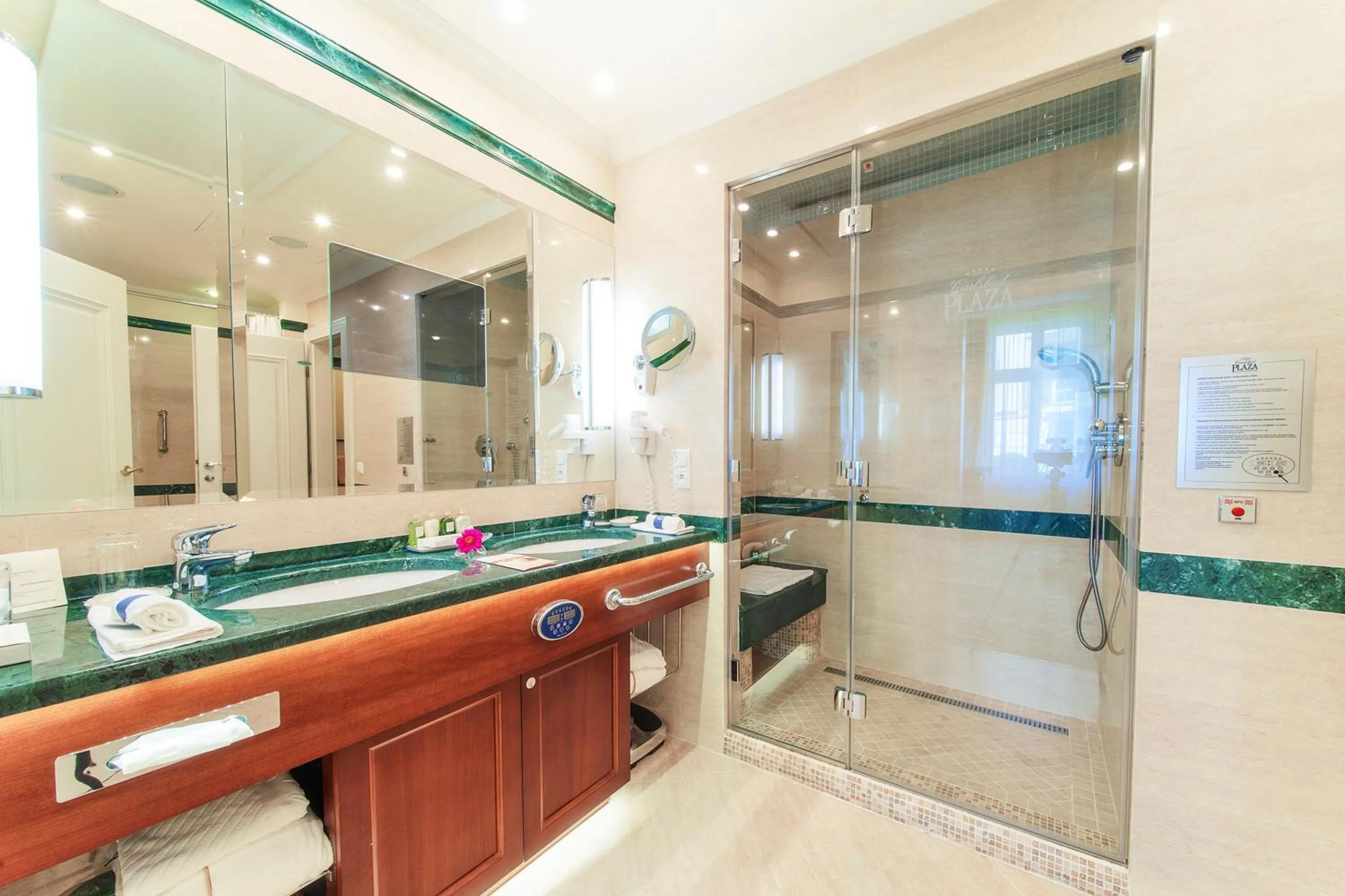 Bathroom in Carlsbad Plaza Medical Spa & Wellness hotel