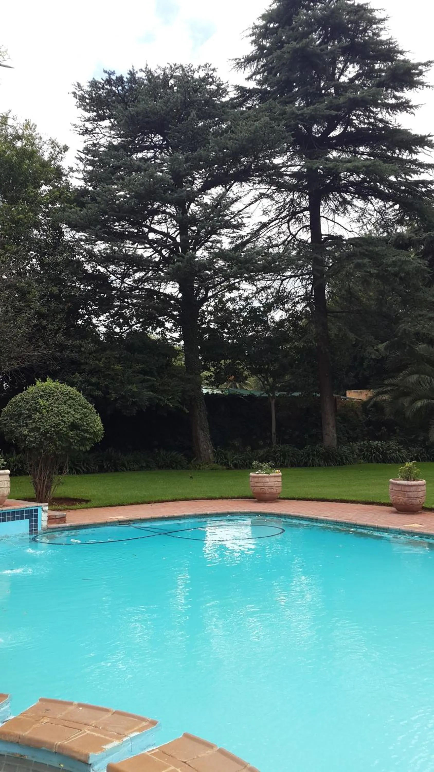 Swimming pool in The Shakespeare Inn