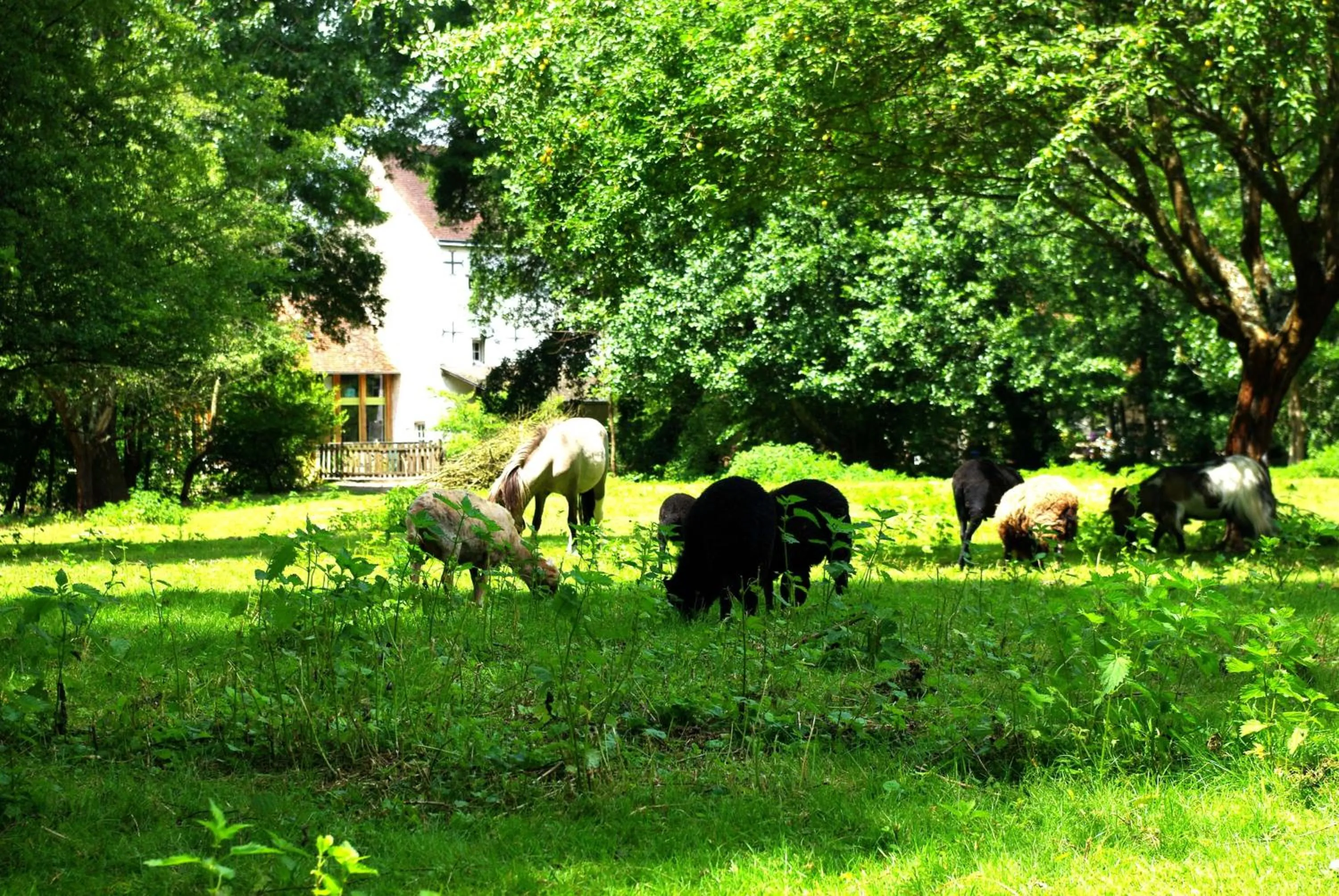 Garden in Maison d'hôtes Moulin du Bas Pesé