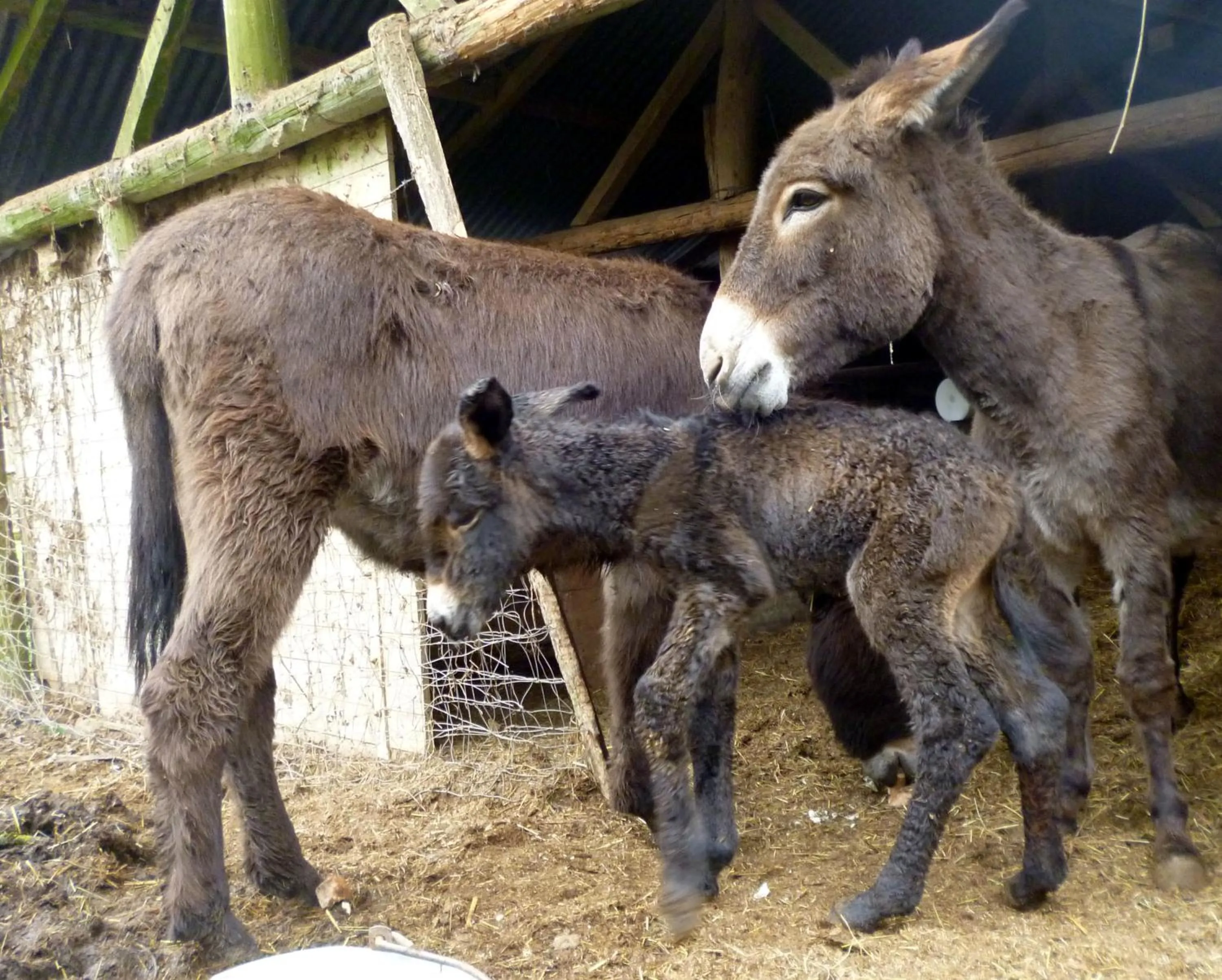 Spring in Maison d'hôtes Moulin du Bas Pesé