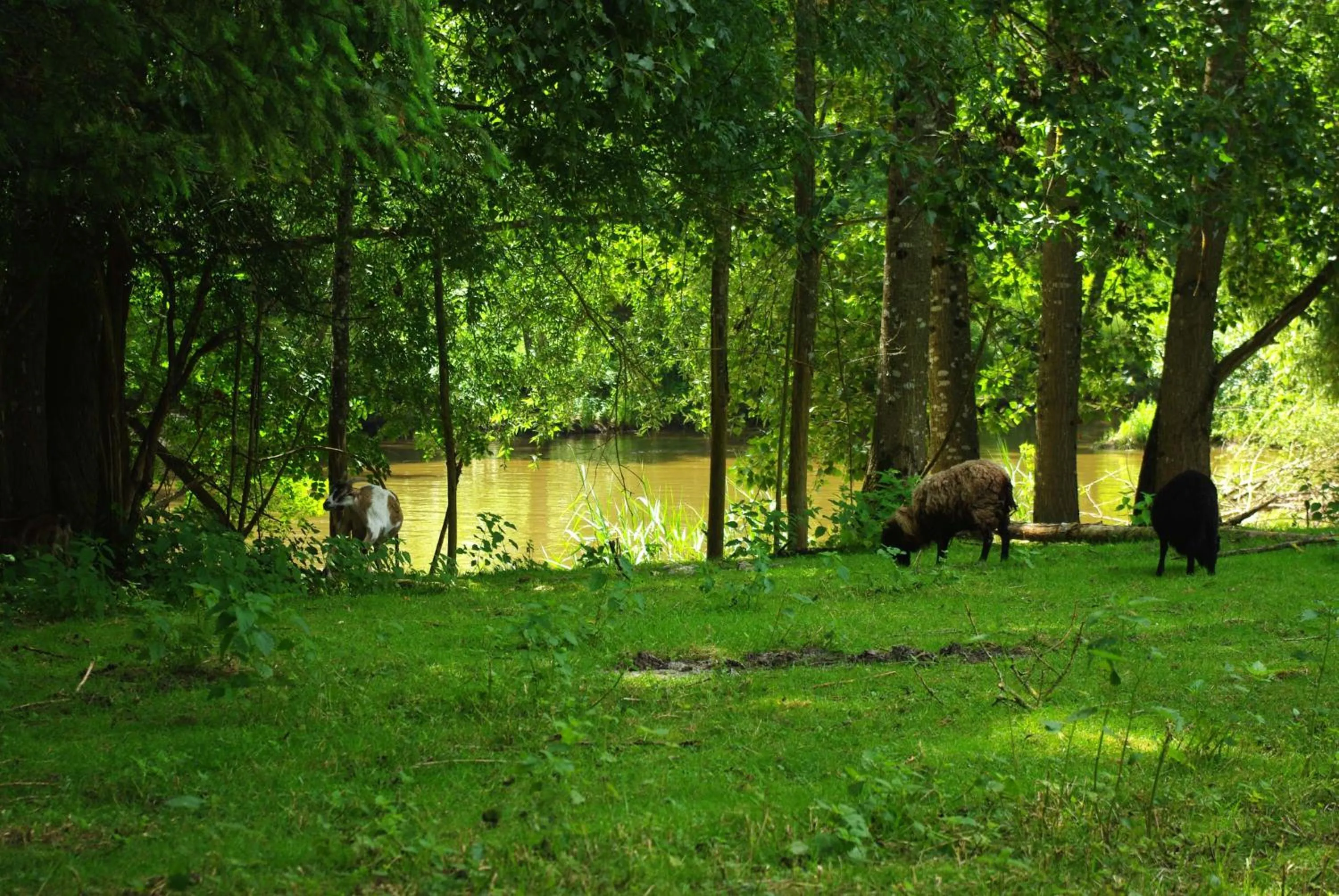Fishing in Maison d'hôtes Moulin du Bas Pesé