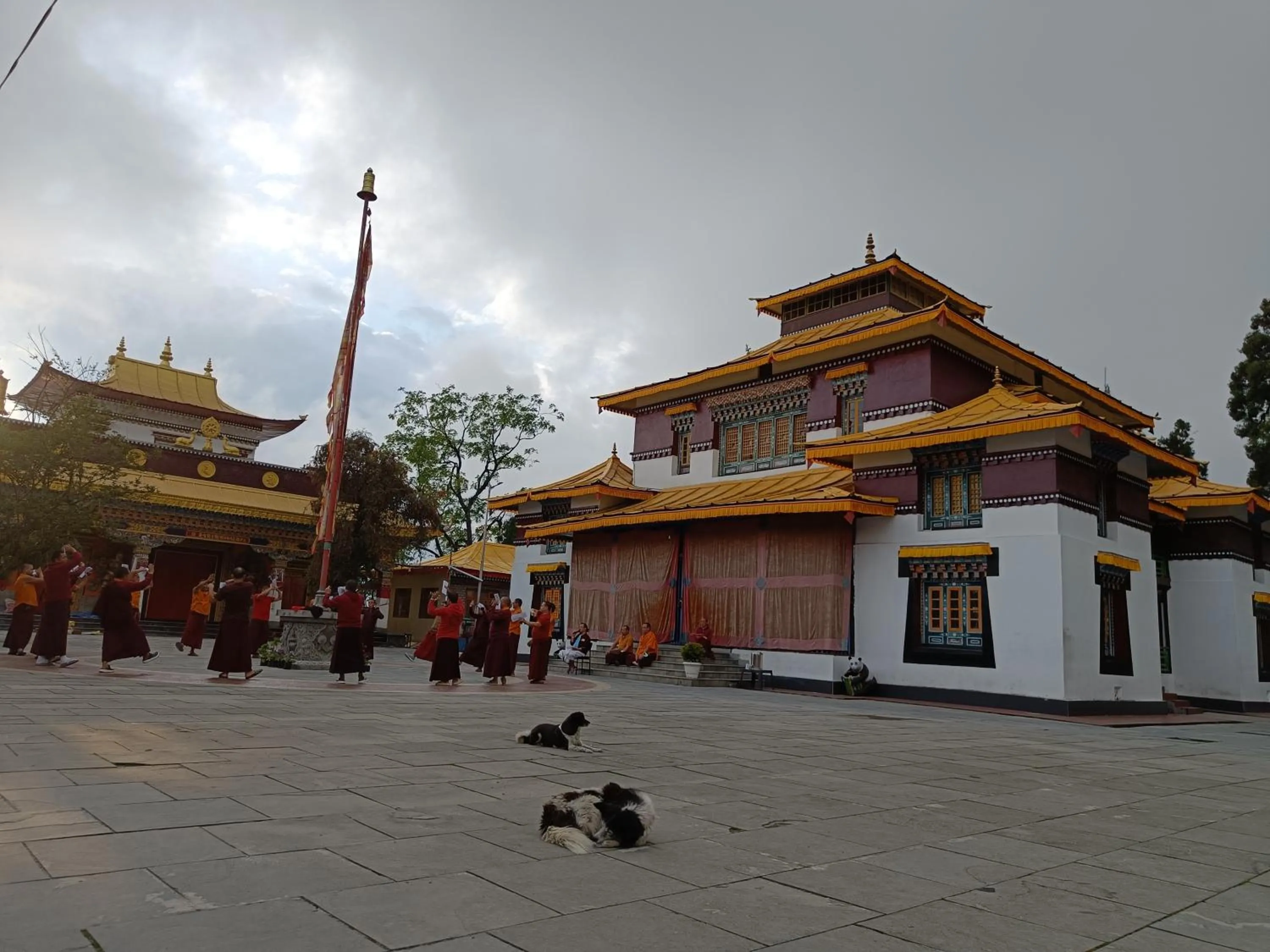 Day in Mellow Fellow Hostel