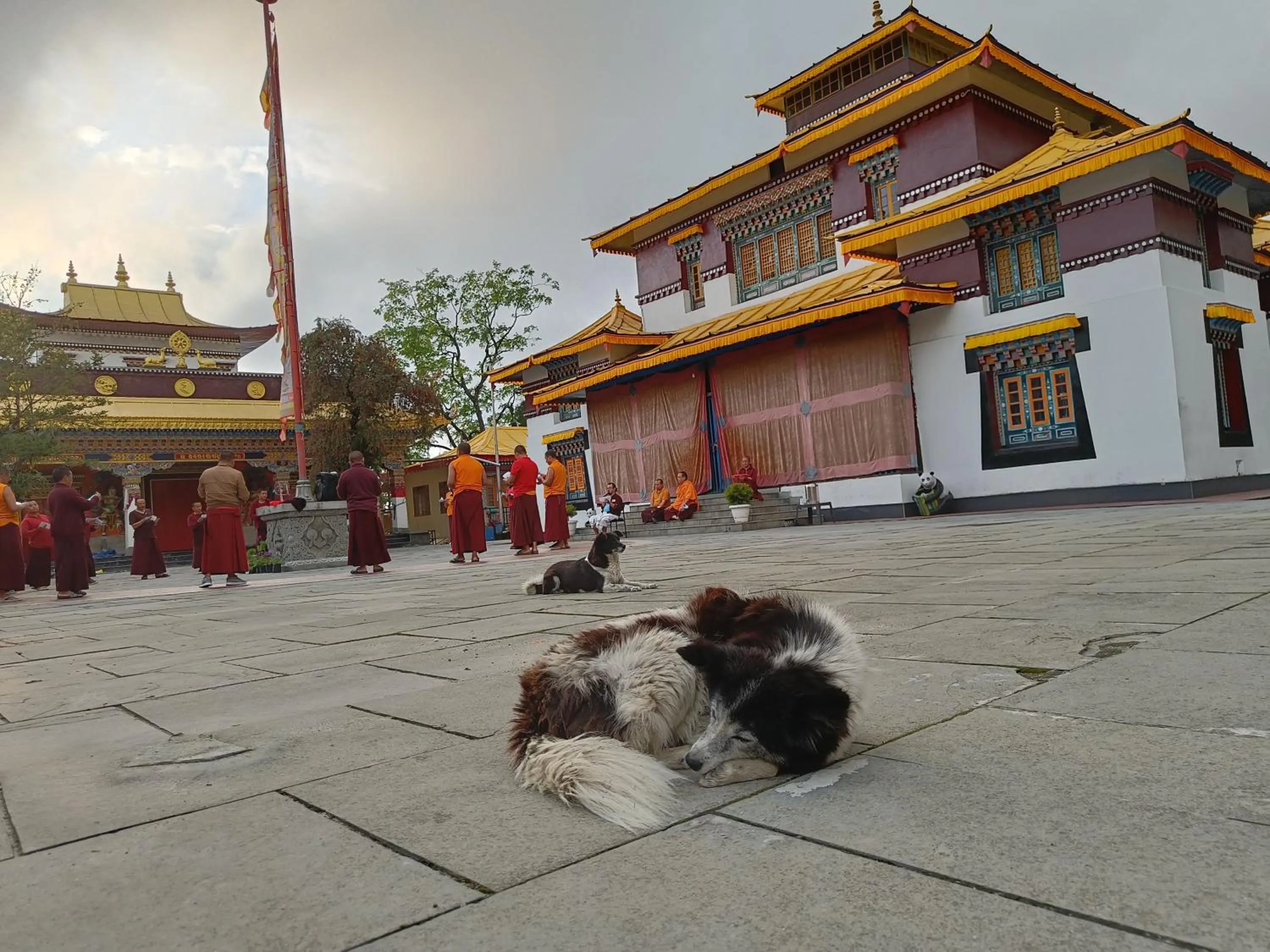 Day in Mellow Fellow Hostel