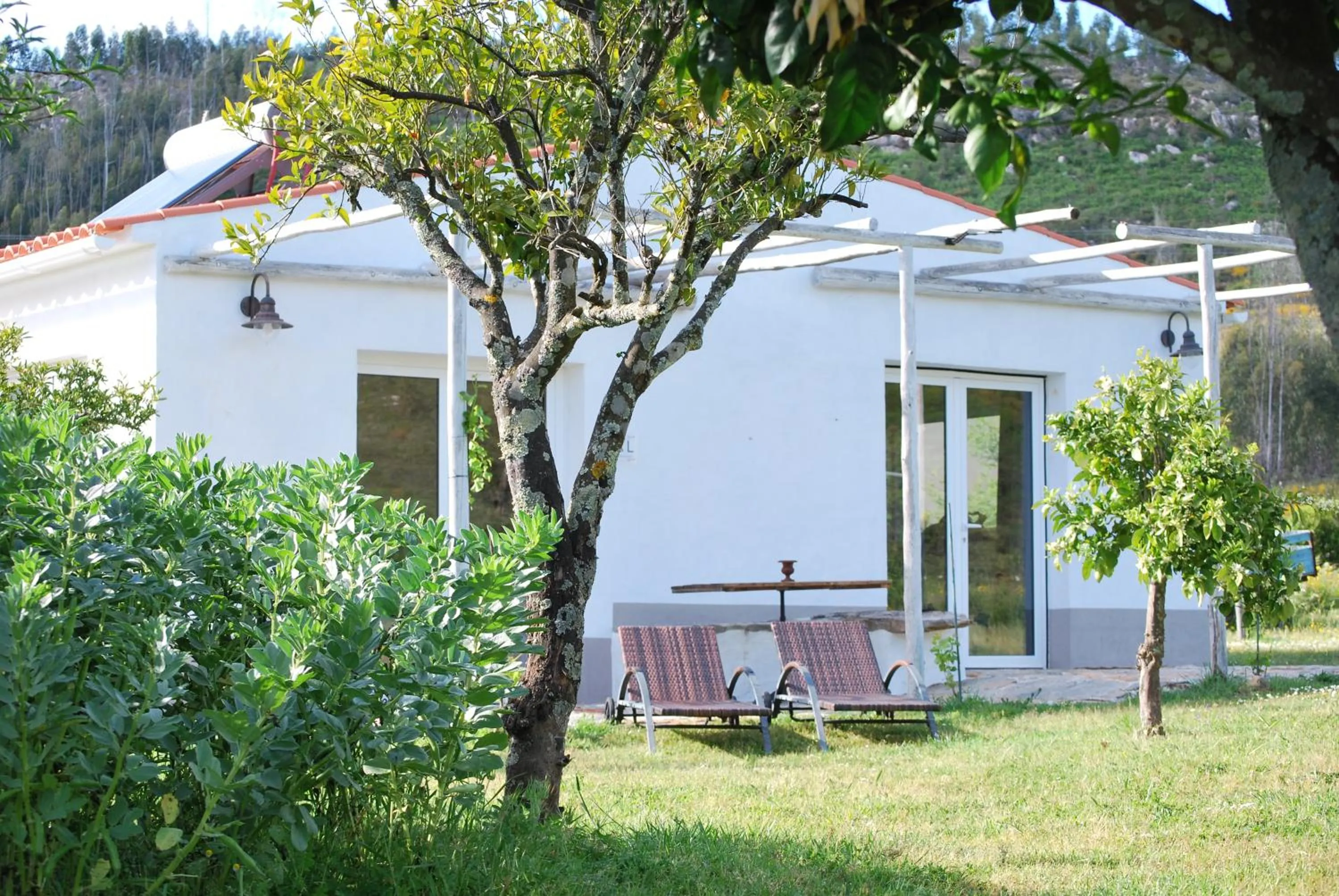 Property building in Alegria rustica