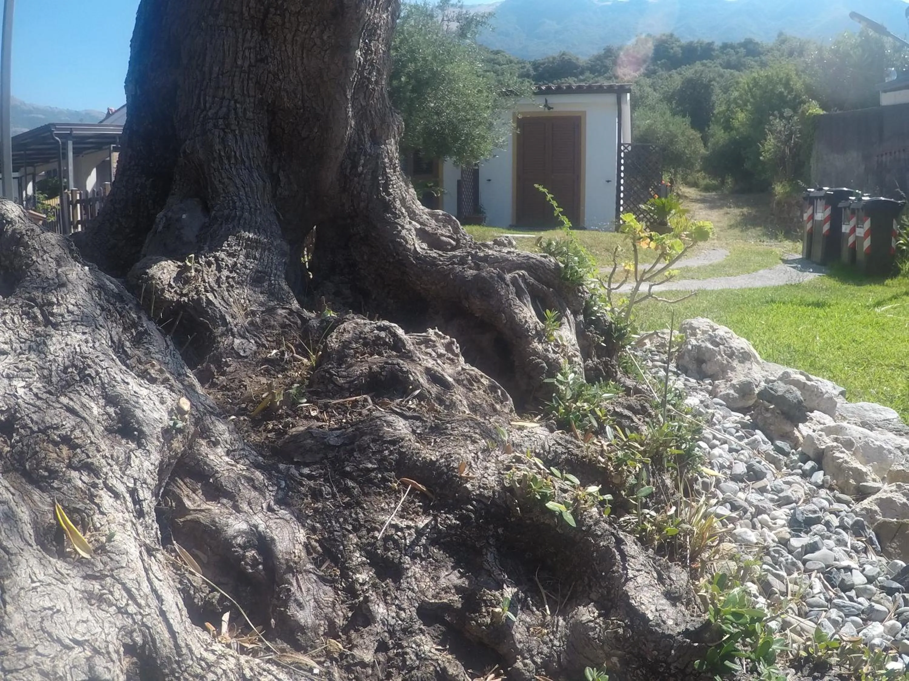 B&B da Maria Teresa - Maratea