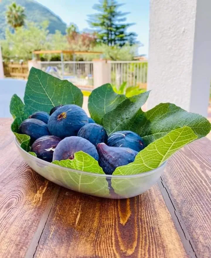 Food and drinks in B&B da Maria Teresa - Maratea