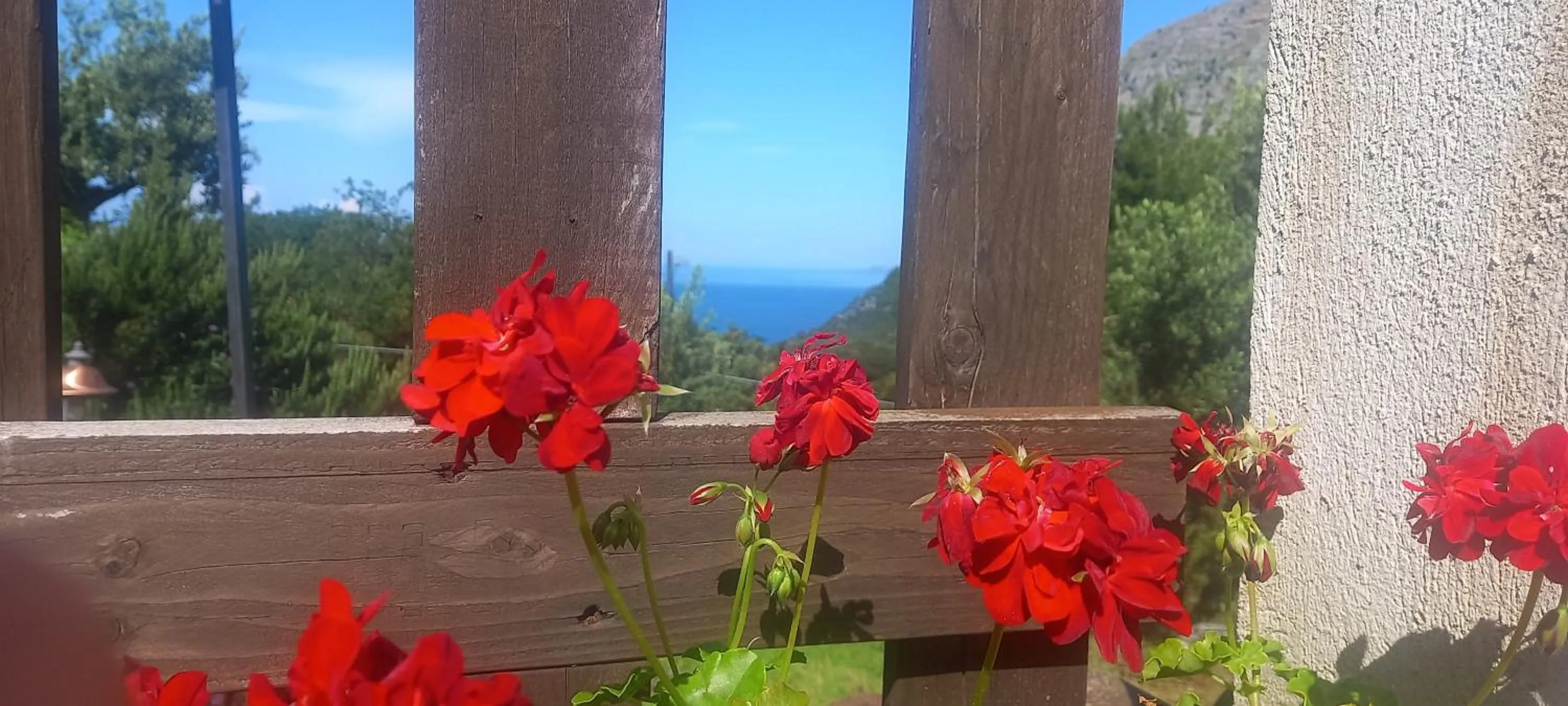 B&B da Maria Teresa - Maratea