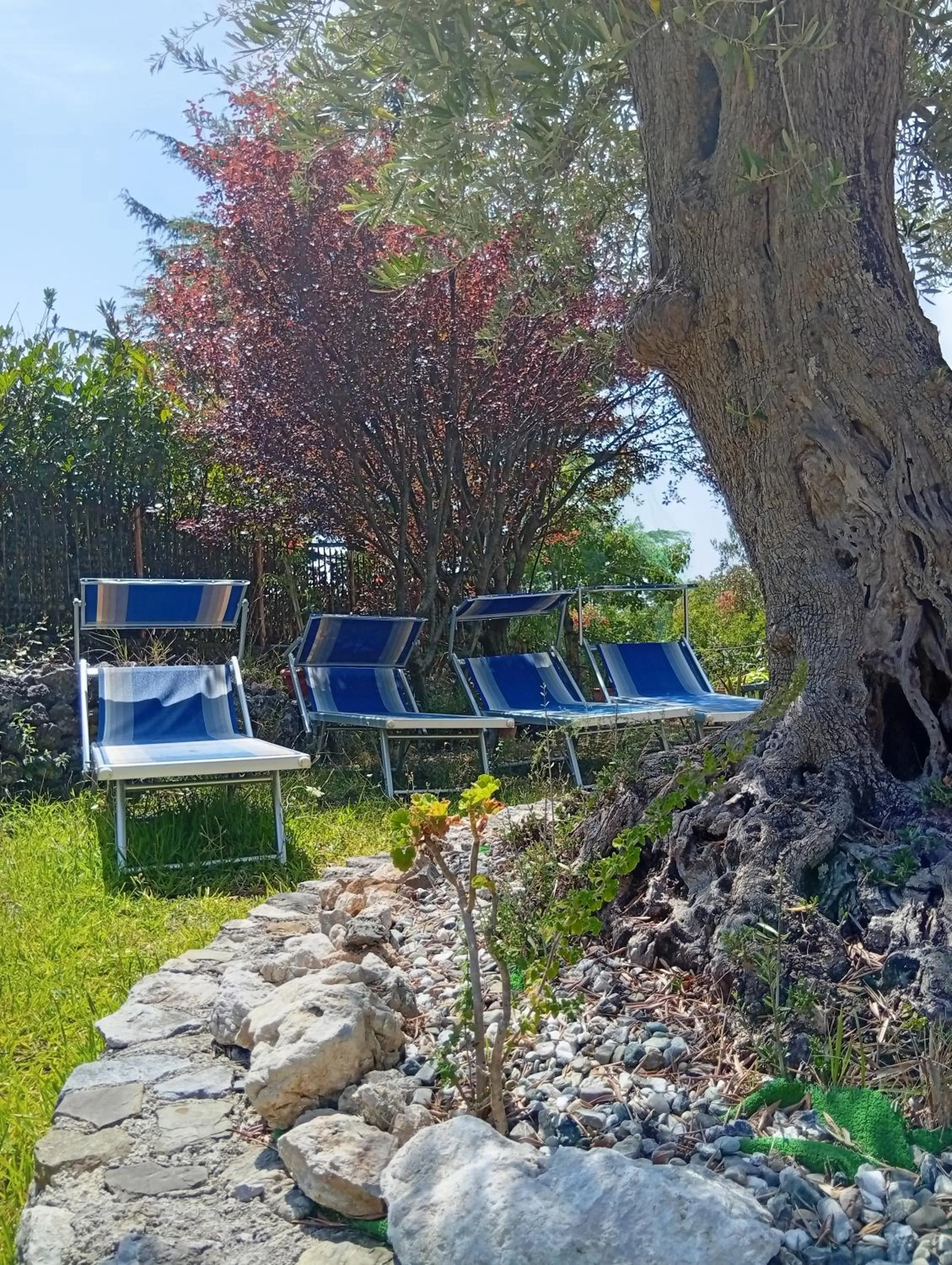 B&B da Maria Teresa - Maratea