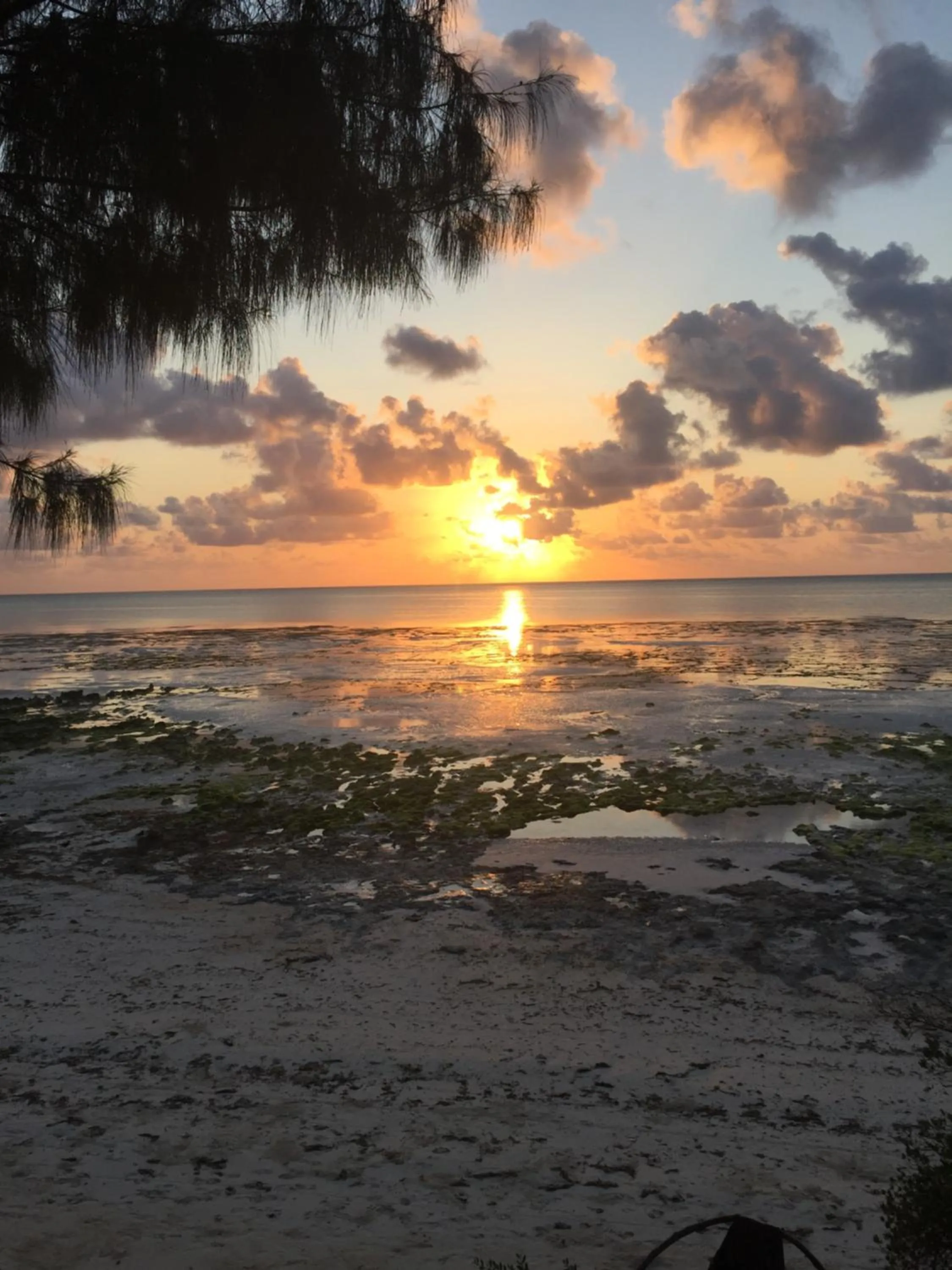 Natural landscape in Mbuyuni Beach Village
