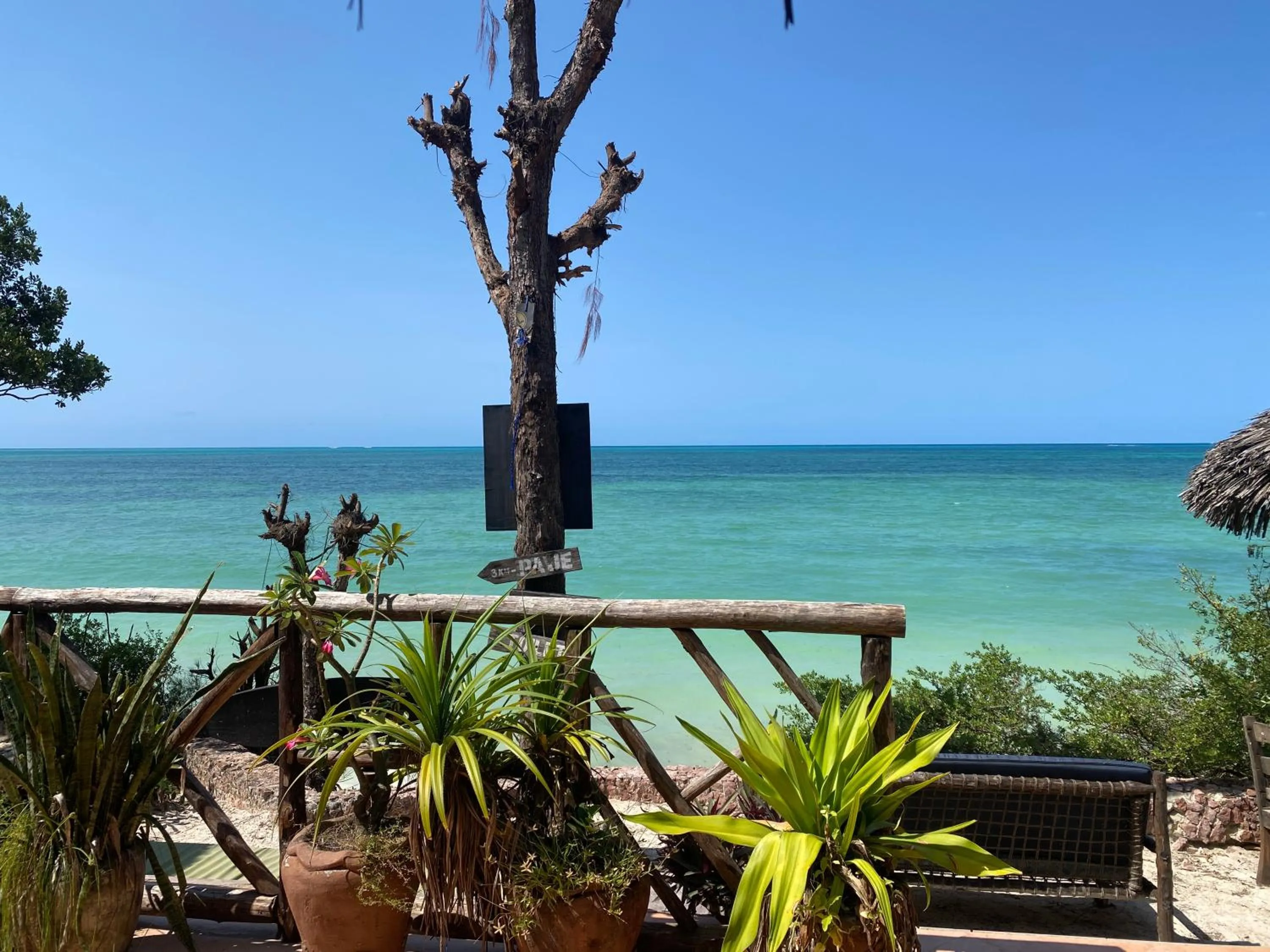 Restaurant/places to eat in Mbuyuni Beach Village