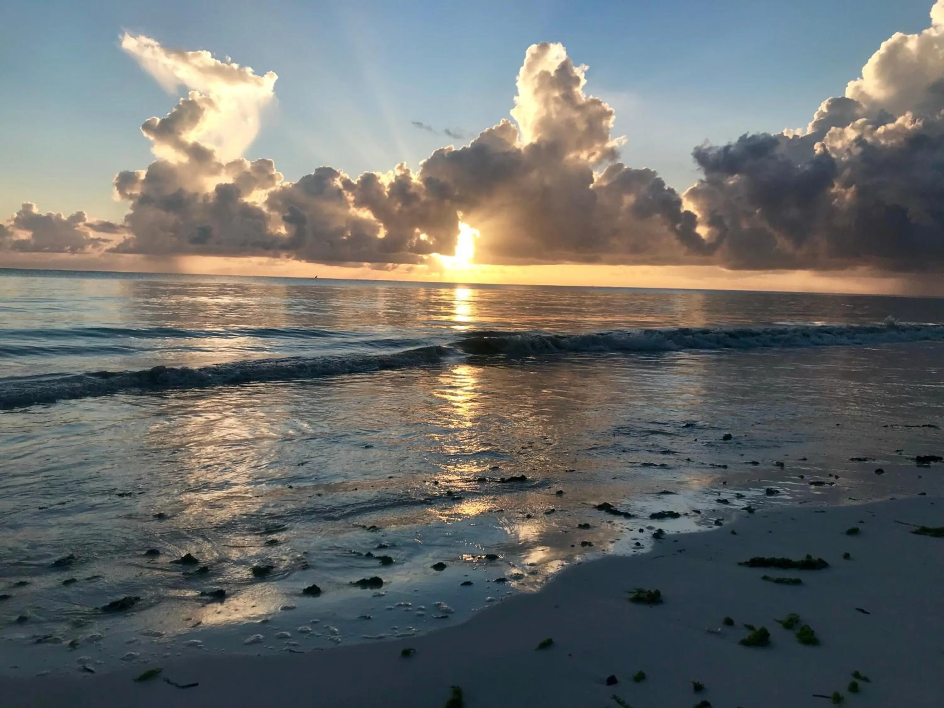 Summer in Mbuyuni Beach Village