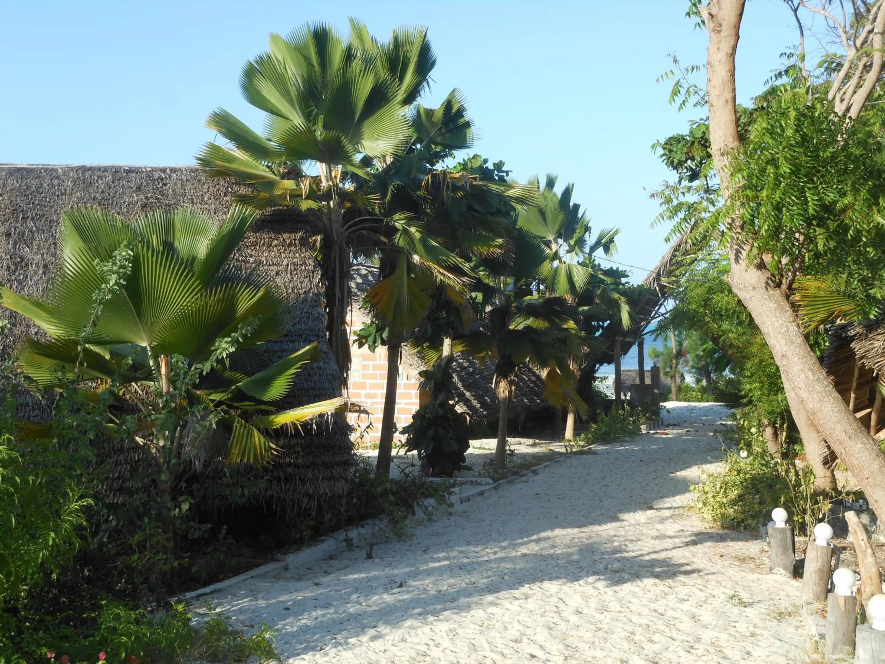 Garden in Mbuyuni Beach Village