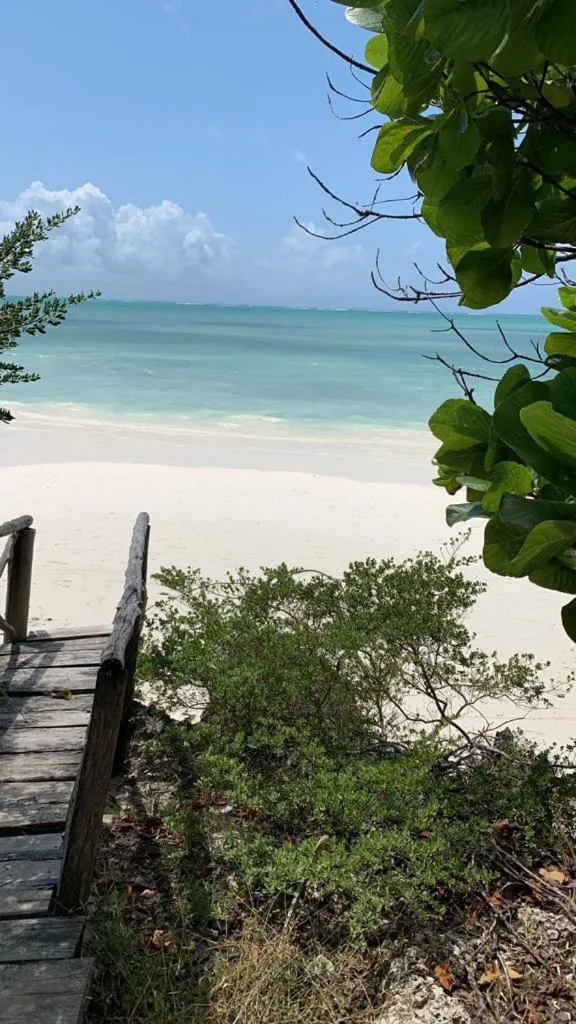 Beach in Mbuyuni Beach Village