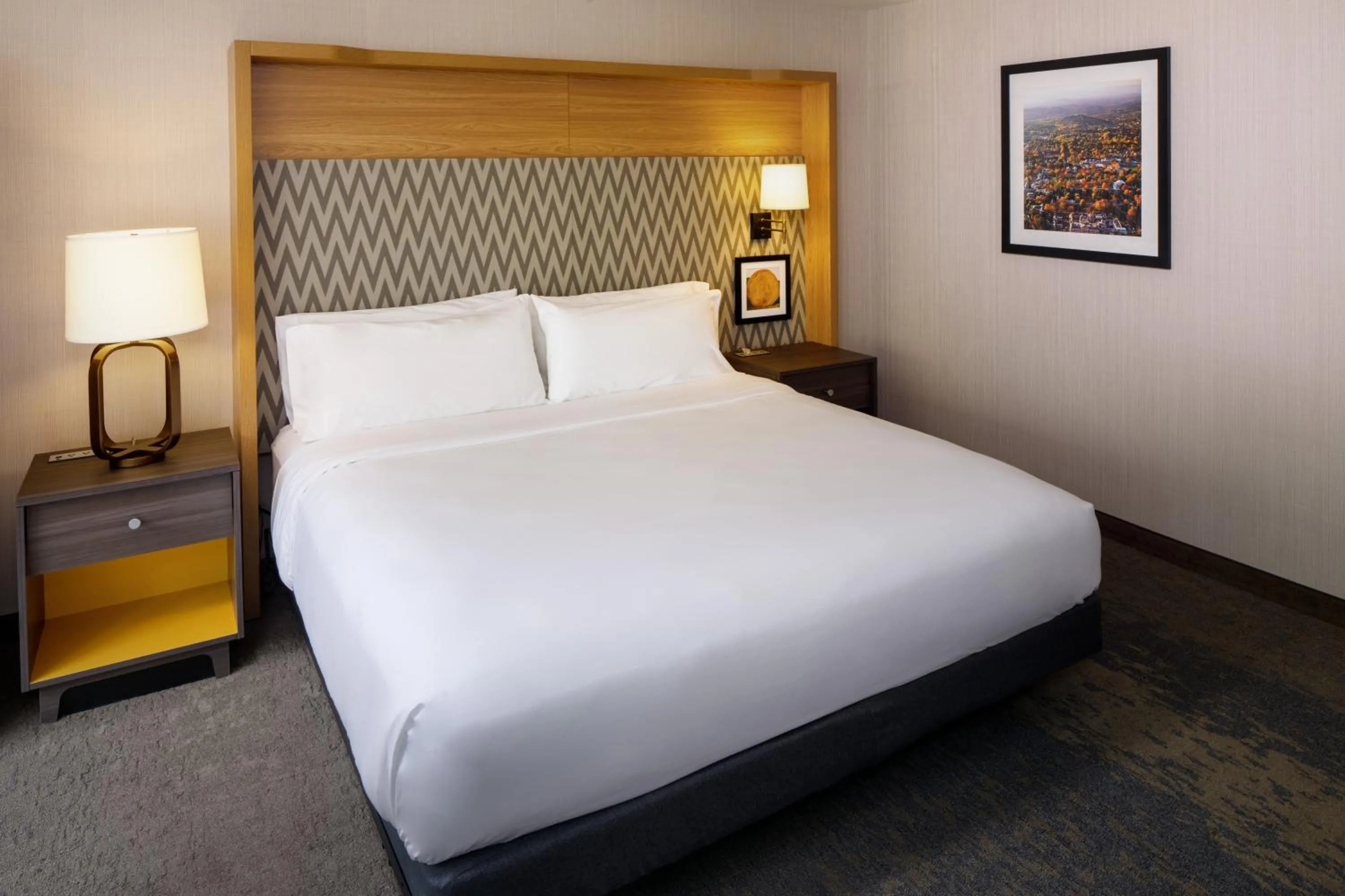 Bed in Holiday Inn Express & Suites Charlottesville by IHG