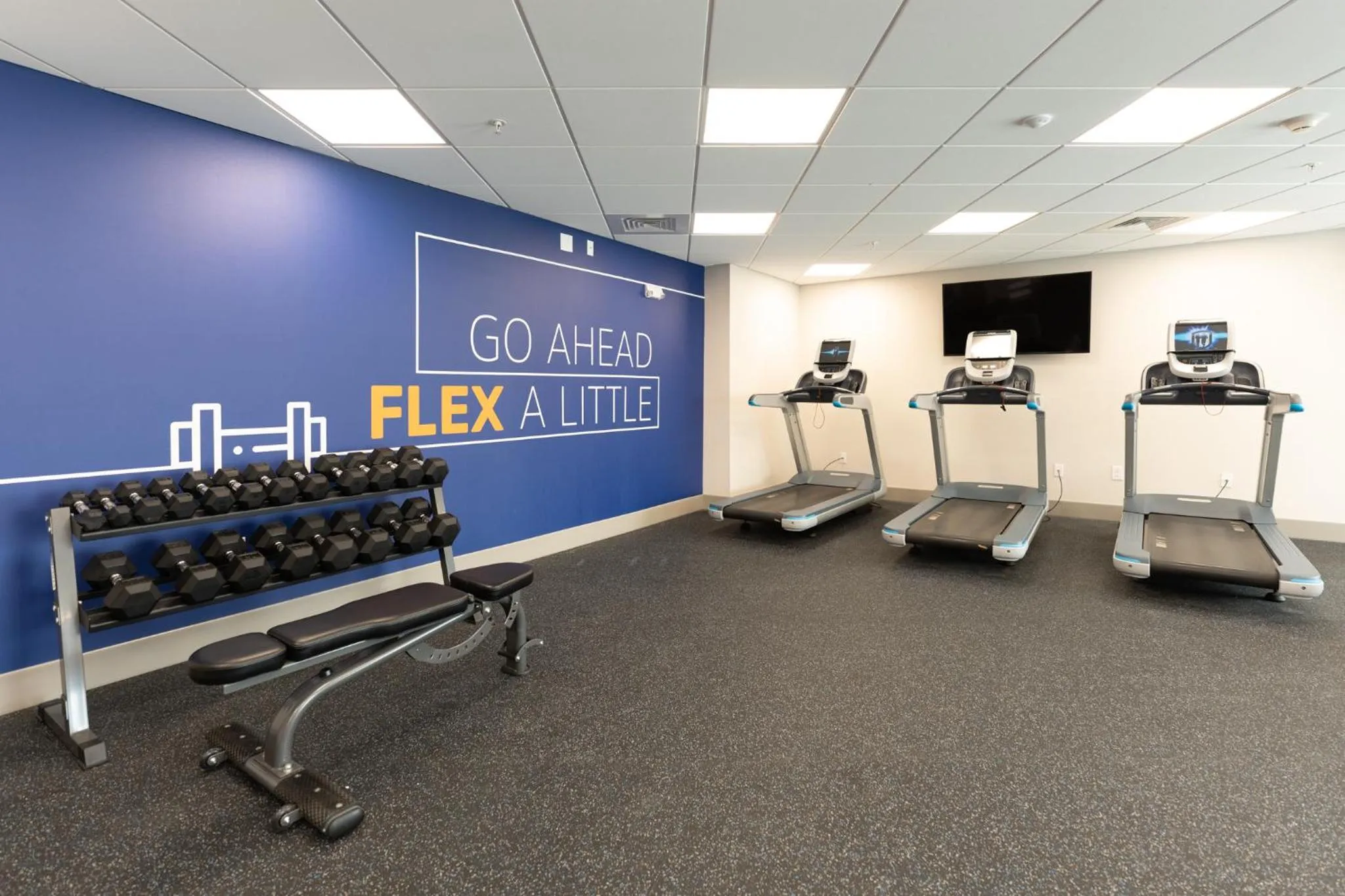 Fitness centre/facilities in Holiday Inn Express & Suites Charlottesville by IHG