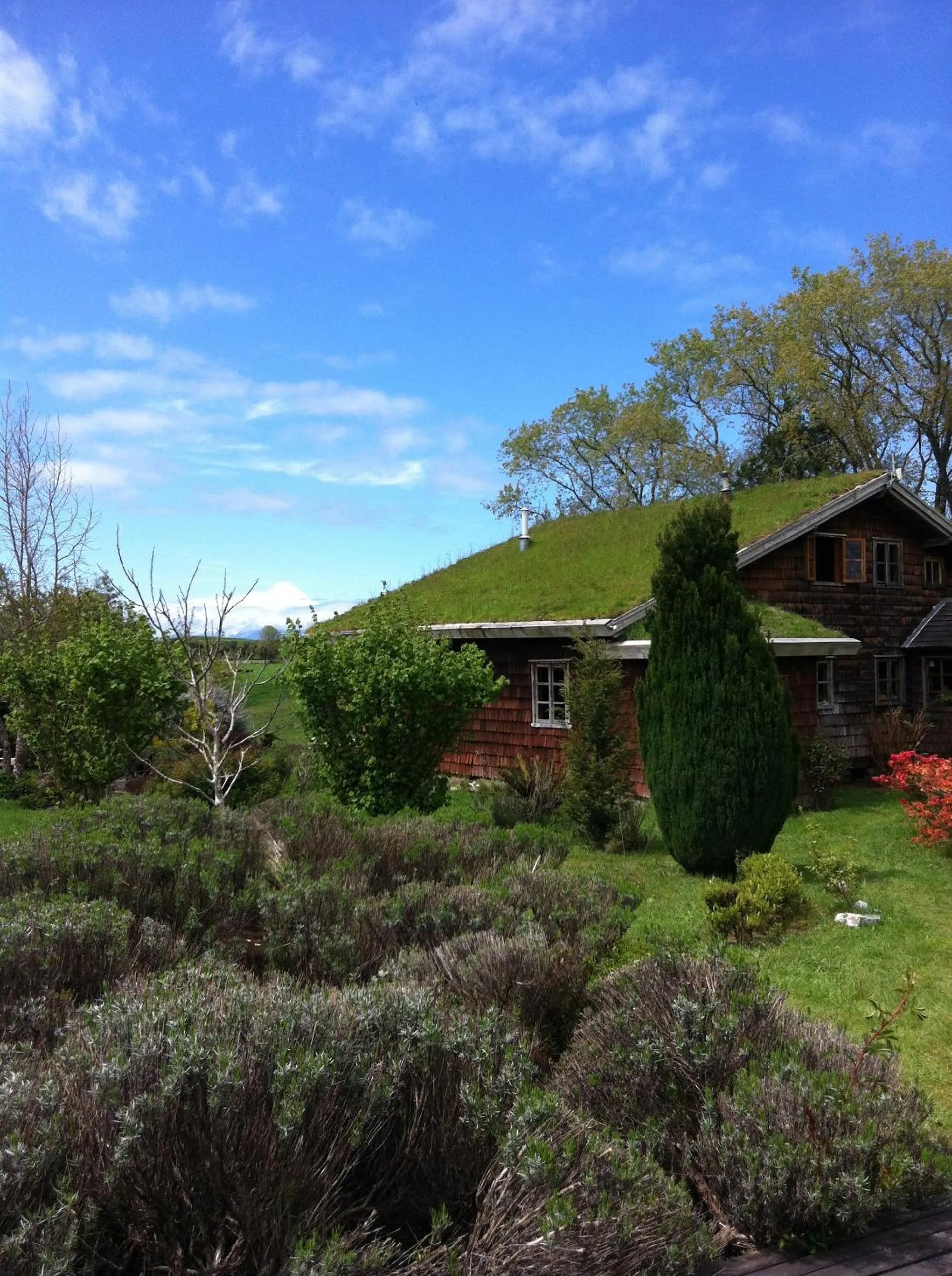 Facade/entrance in Hostal Zapato Amarillo