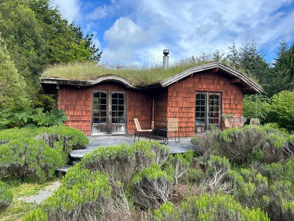 Garden in Hostal Zapato Amarillo