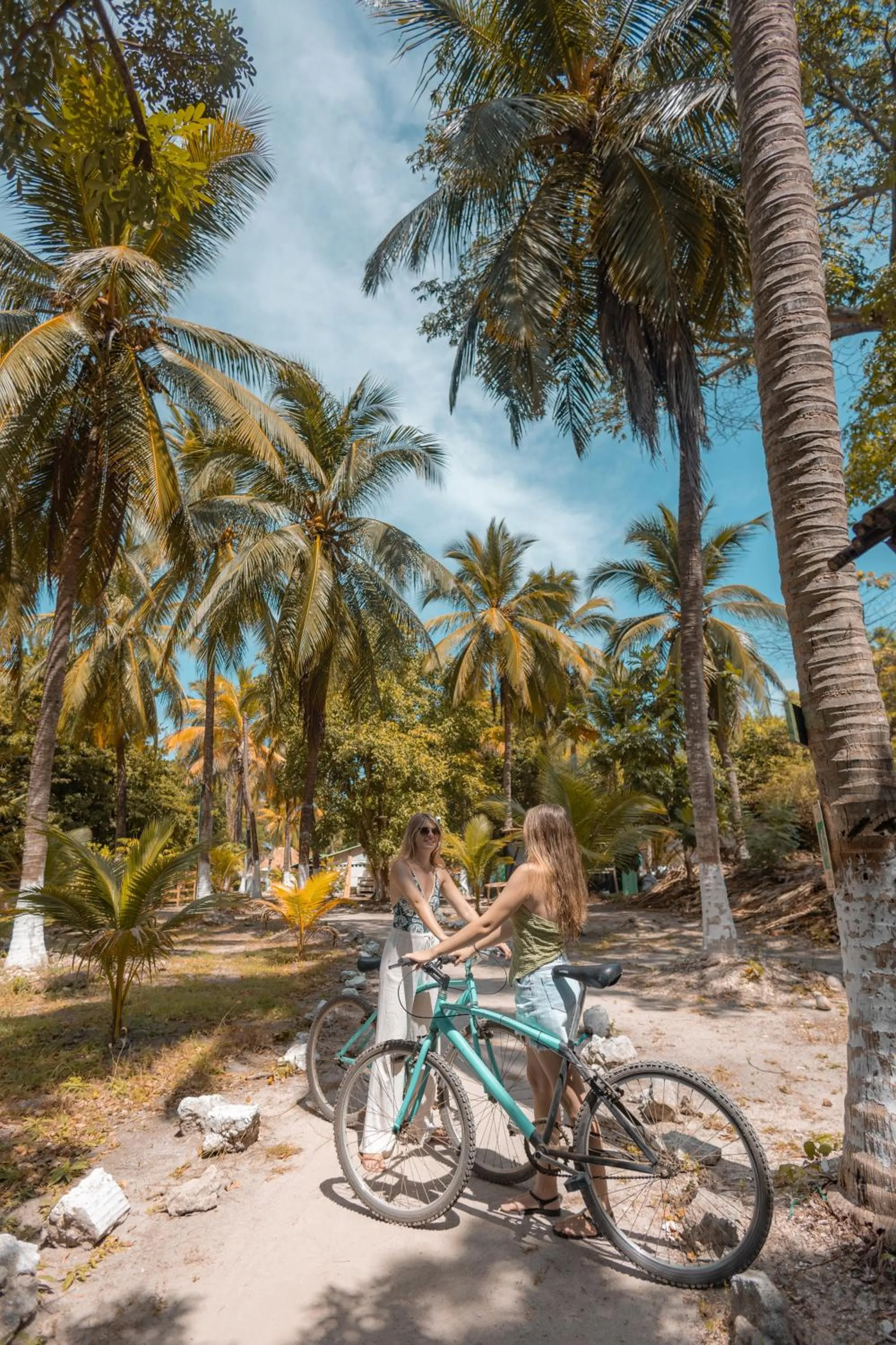 Natural landscape in Hotel Isla del Sol