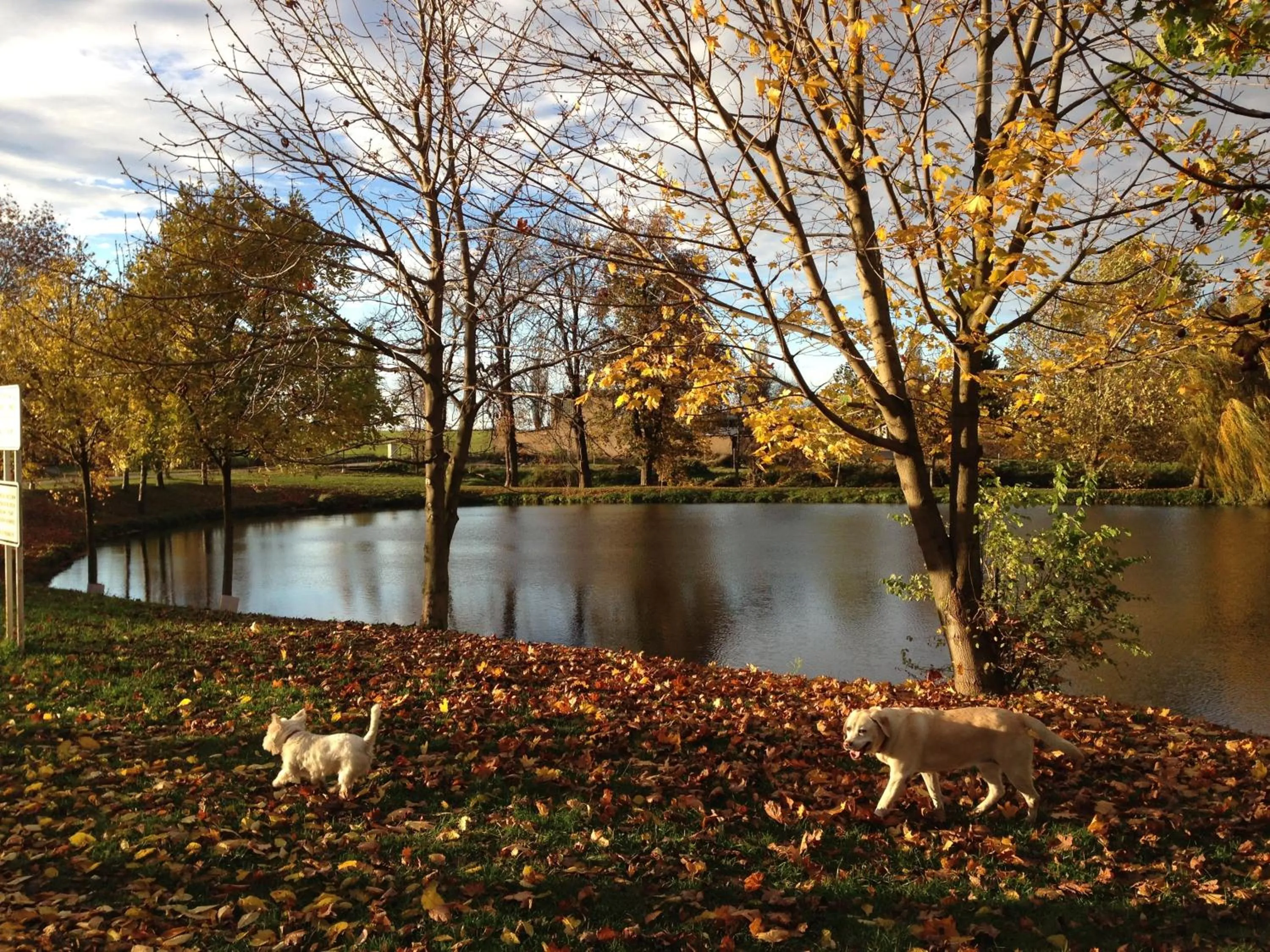 Activities in Hotel CHOTOL