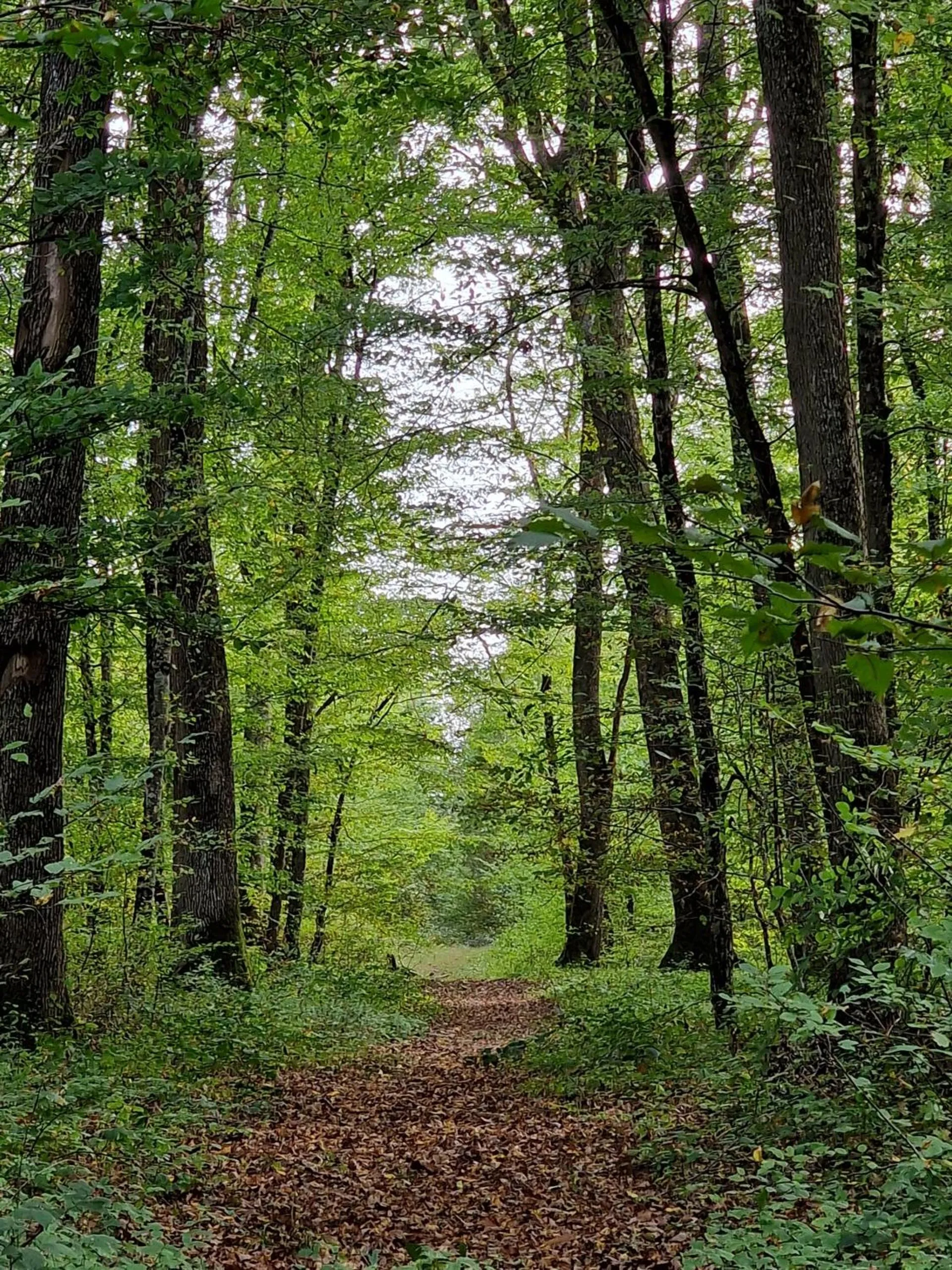 Spring in Chambre d'hôtes "Au bord de Loire"