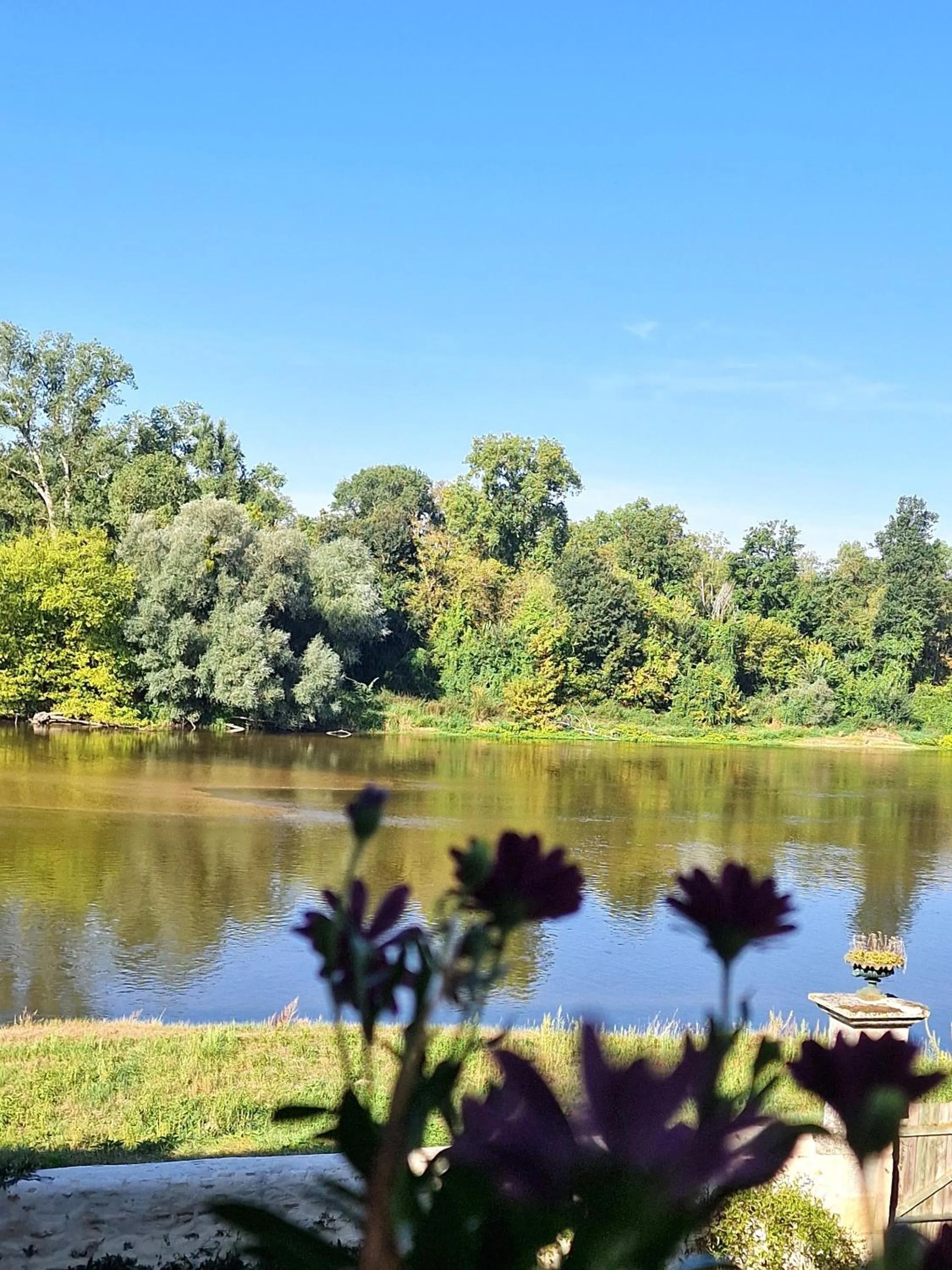 Natural landscape in Chambre d'hôtes "Au bord de Loire"