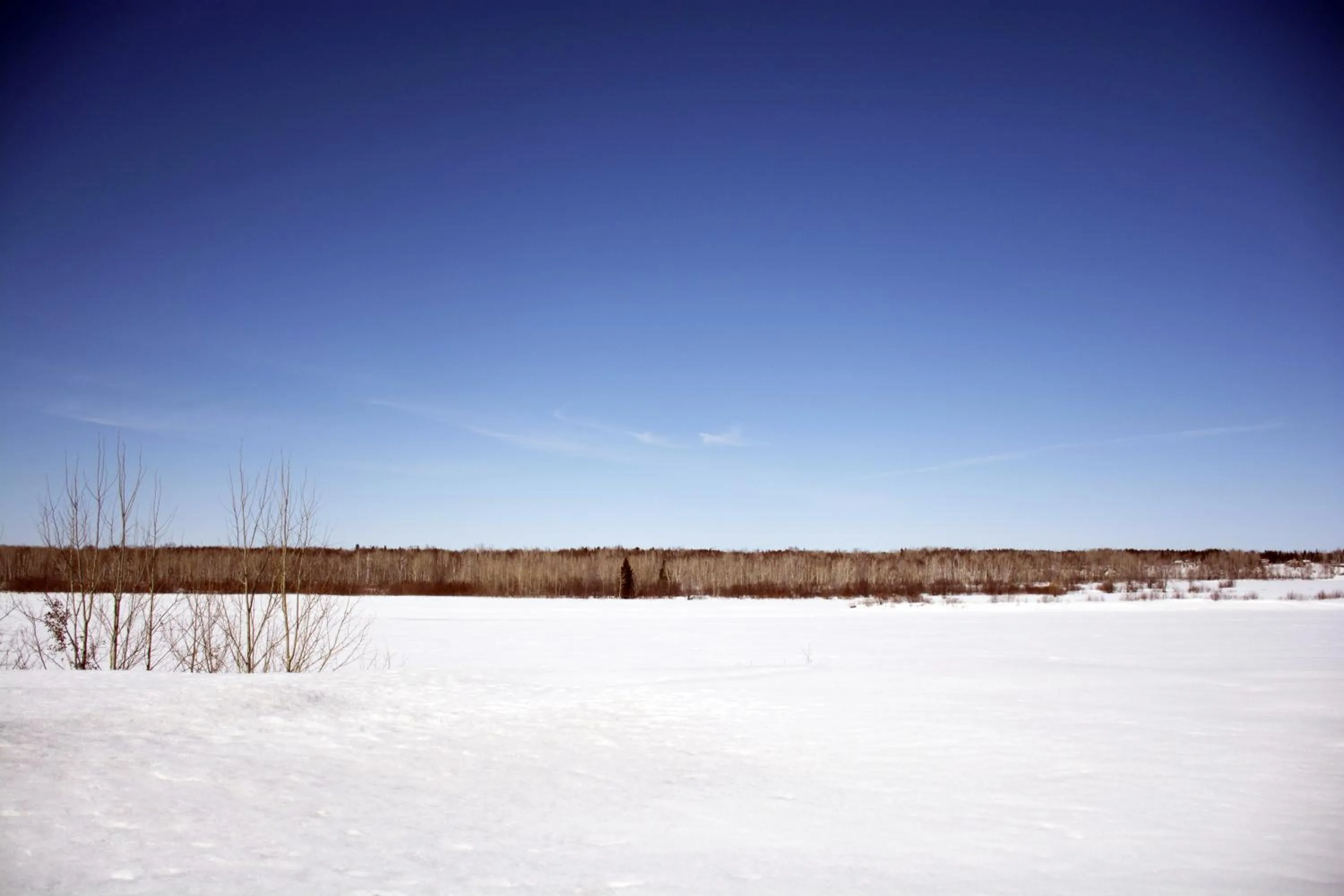 Seasons in Motel Moreau