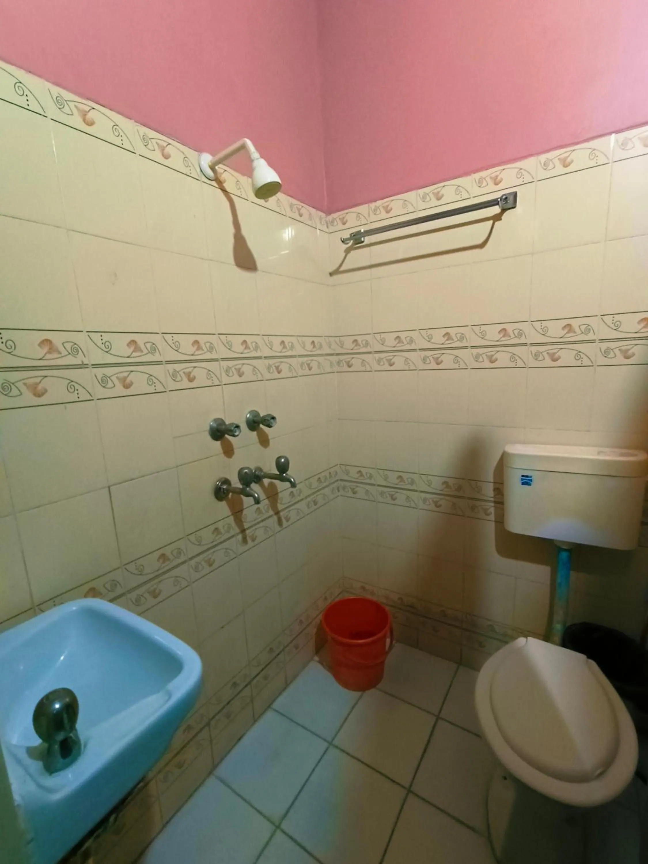 Shower in Baba Guest House