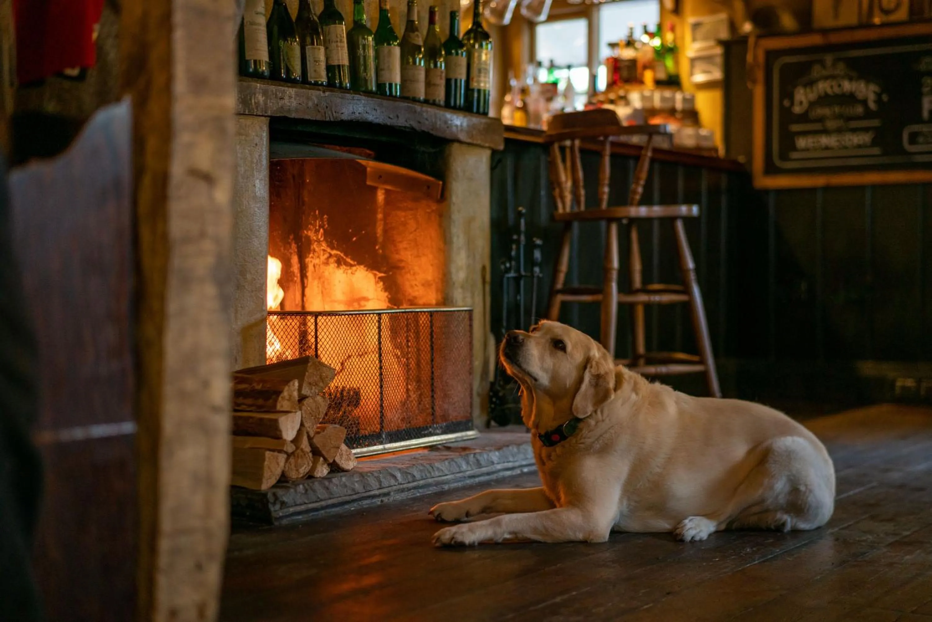 Pets in The Anchor Inn