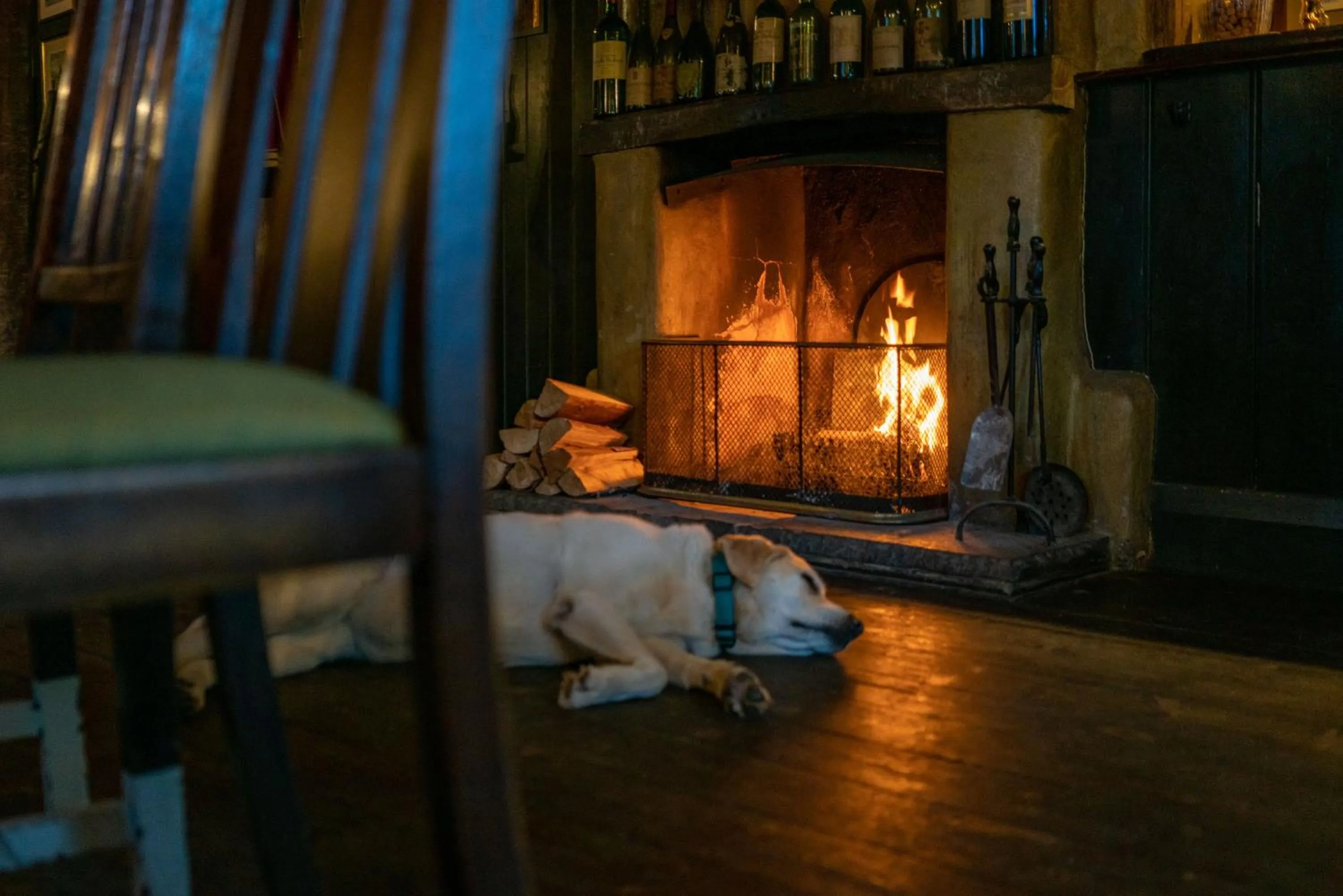Pets in The Anchor Inn
