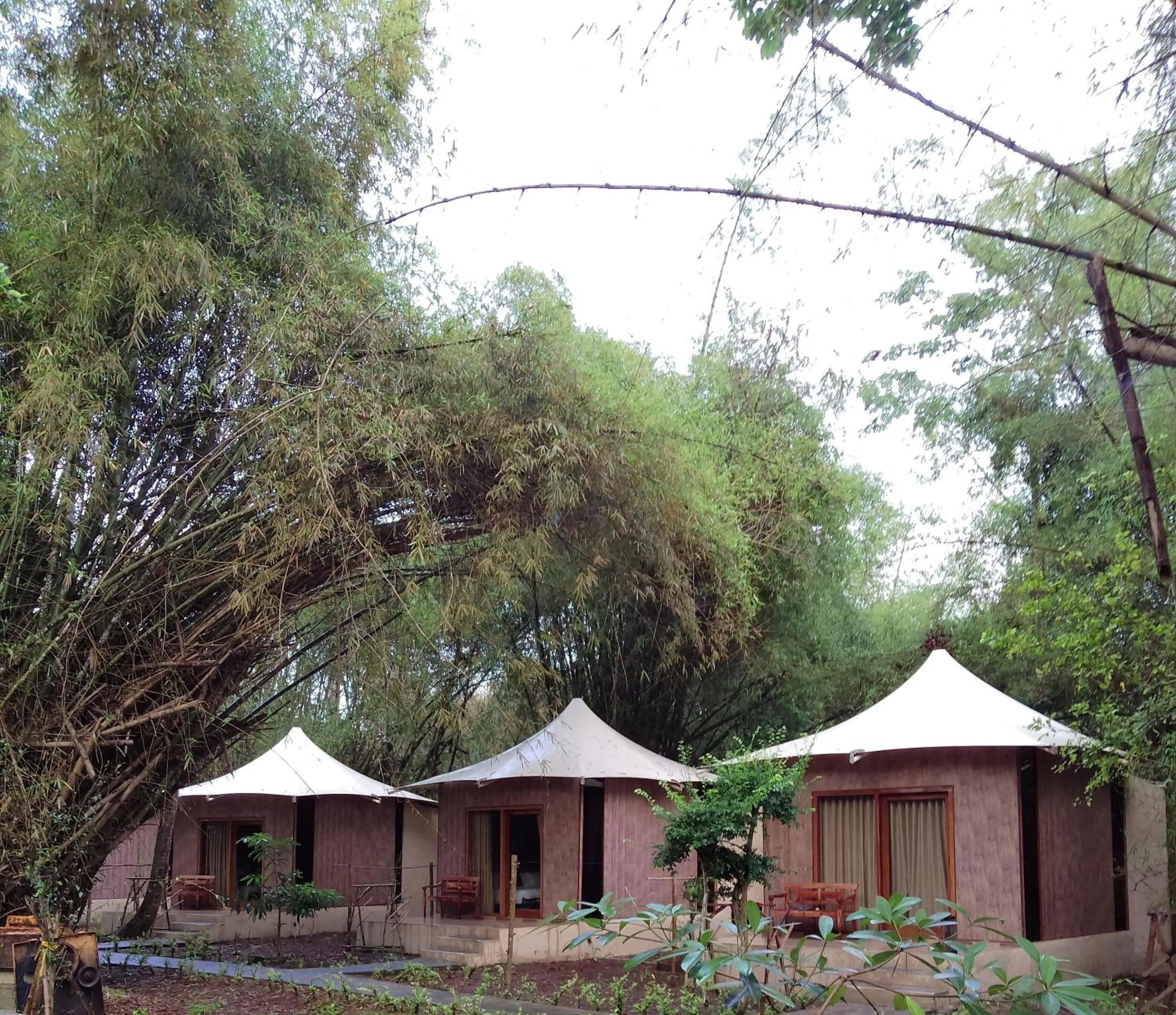 Property building in Jawa Jiwa G-Land Resort