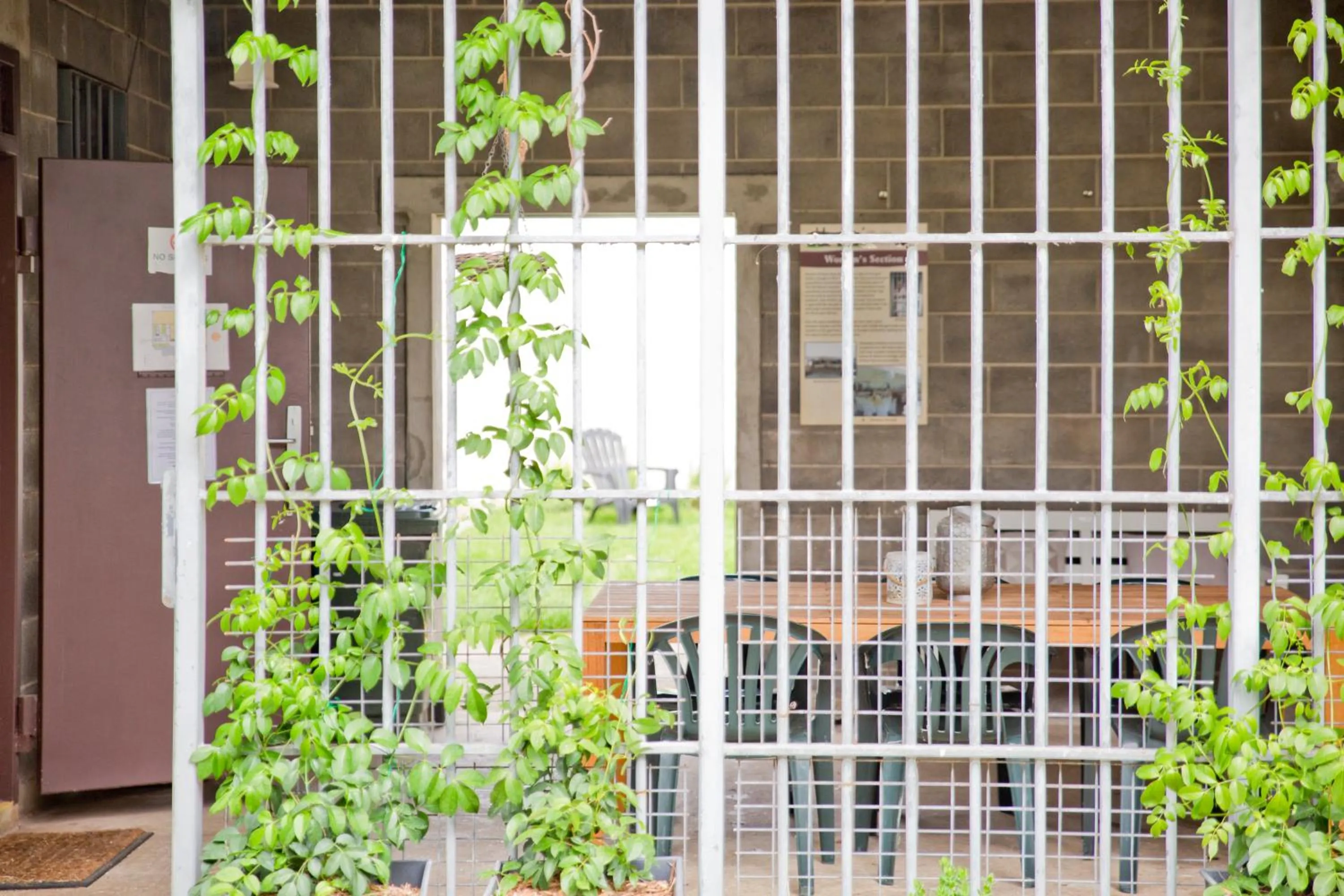Garden in The Old Mount Gambier Gaol