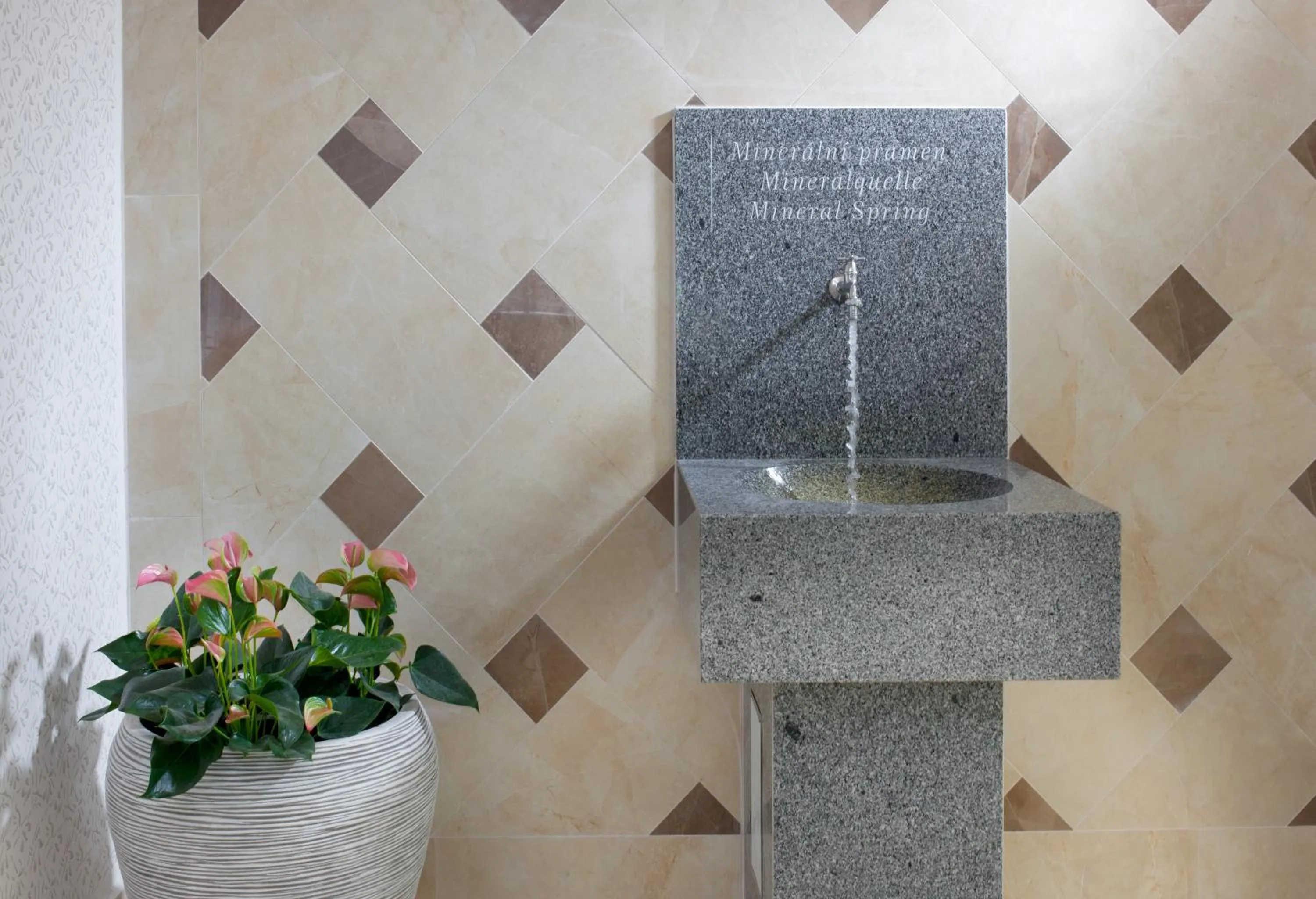 Area and facilities in Badenia Hotel Praha