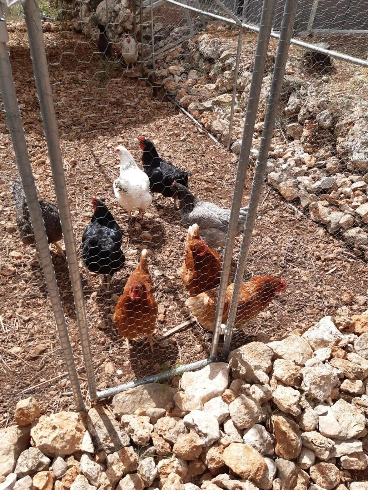 Garden in Casa Lennisa