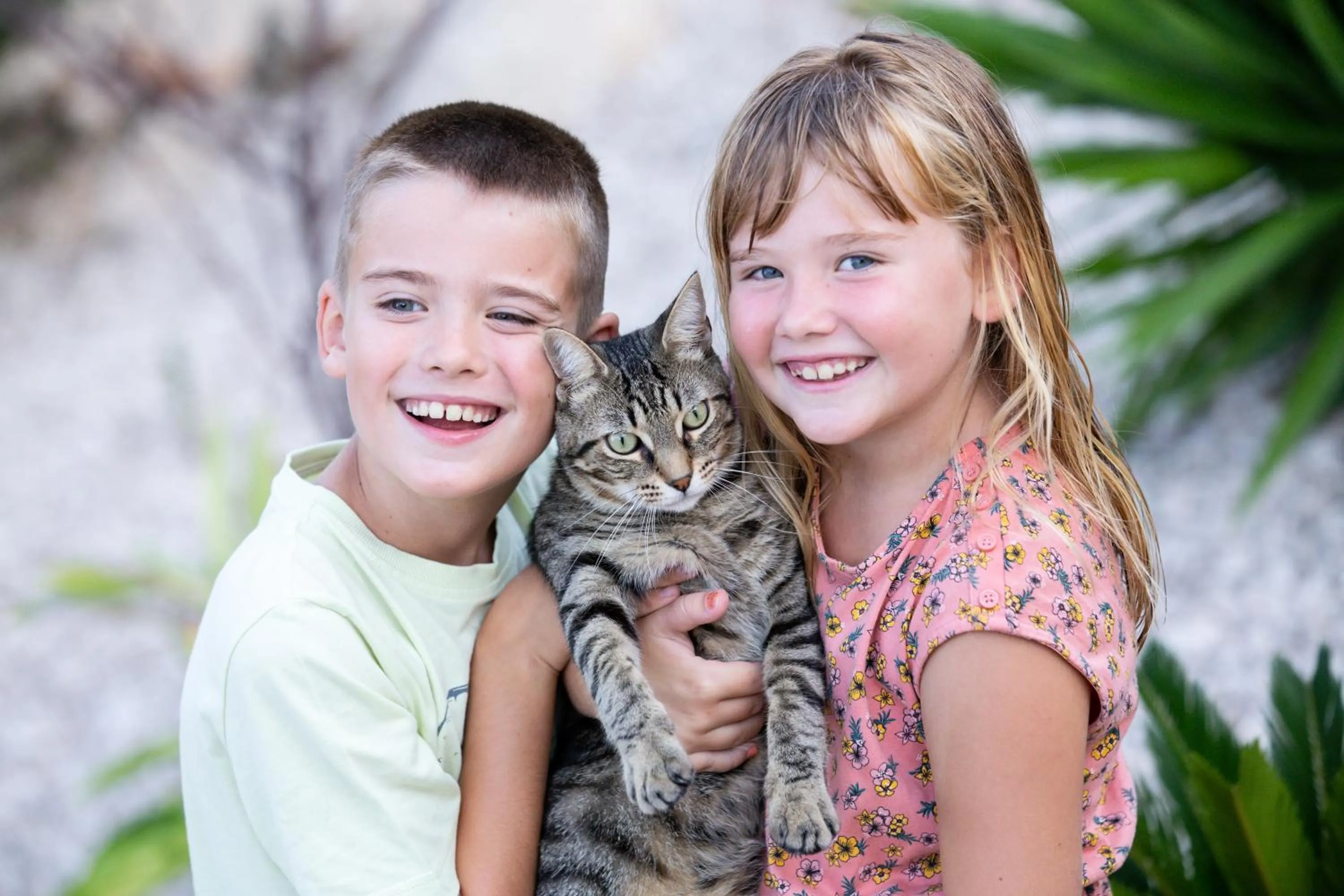 Pets in Casa Lennisa