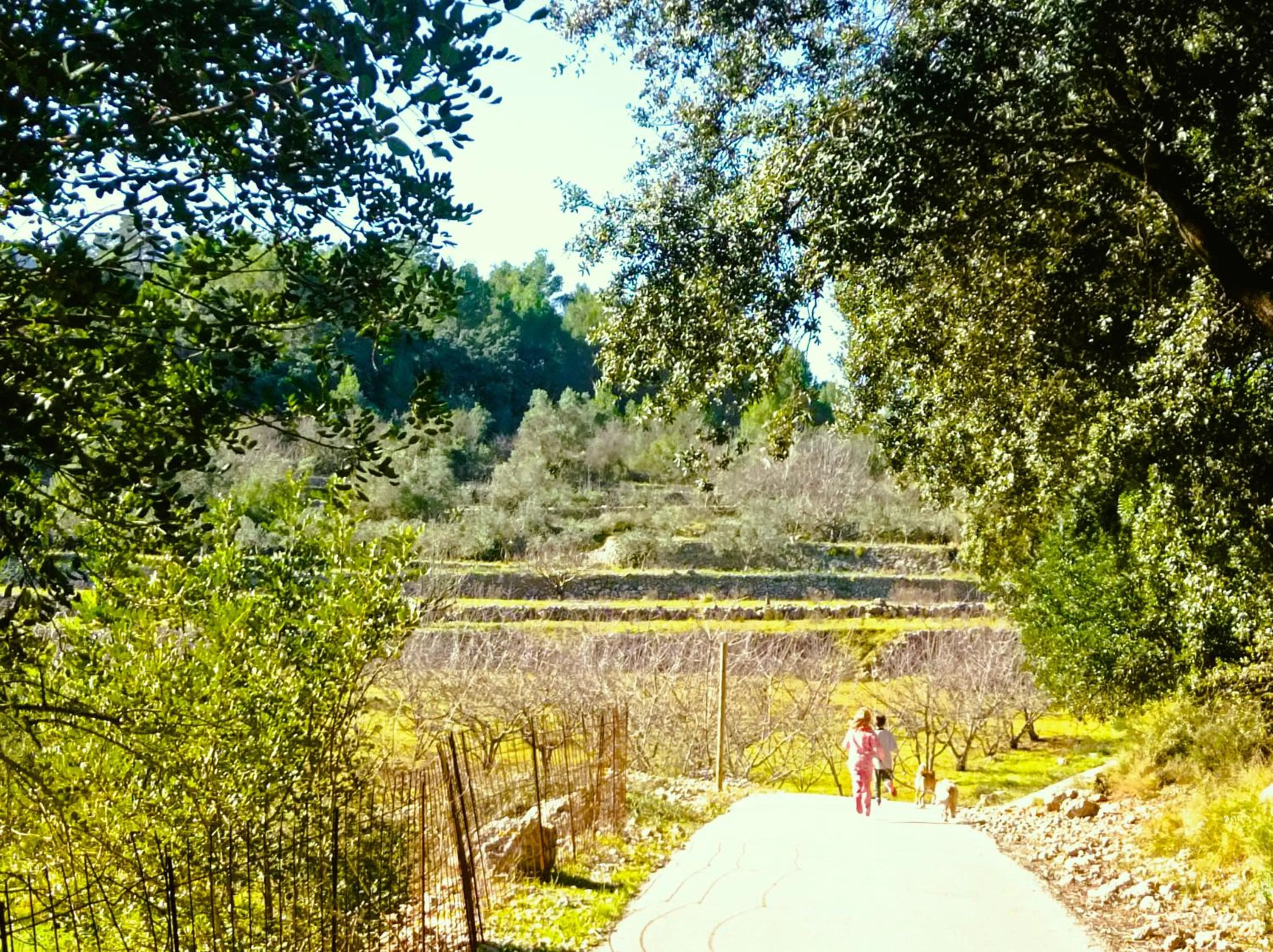 Natural landscape in Casa Lennisa