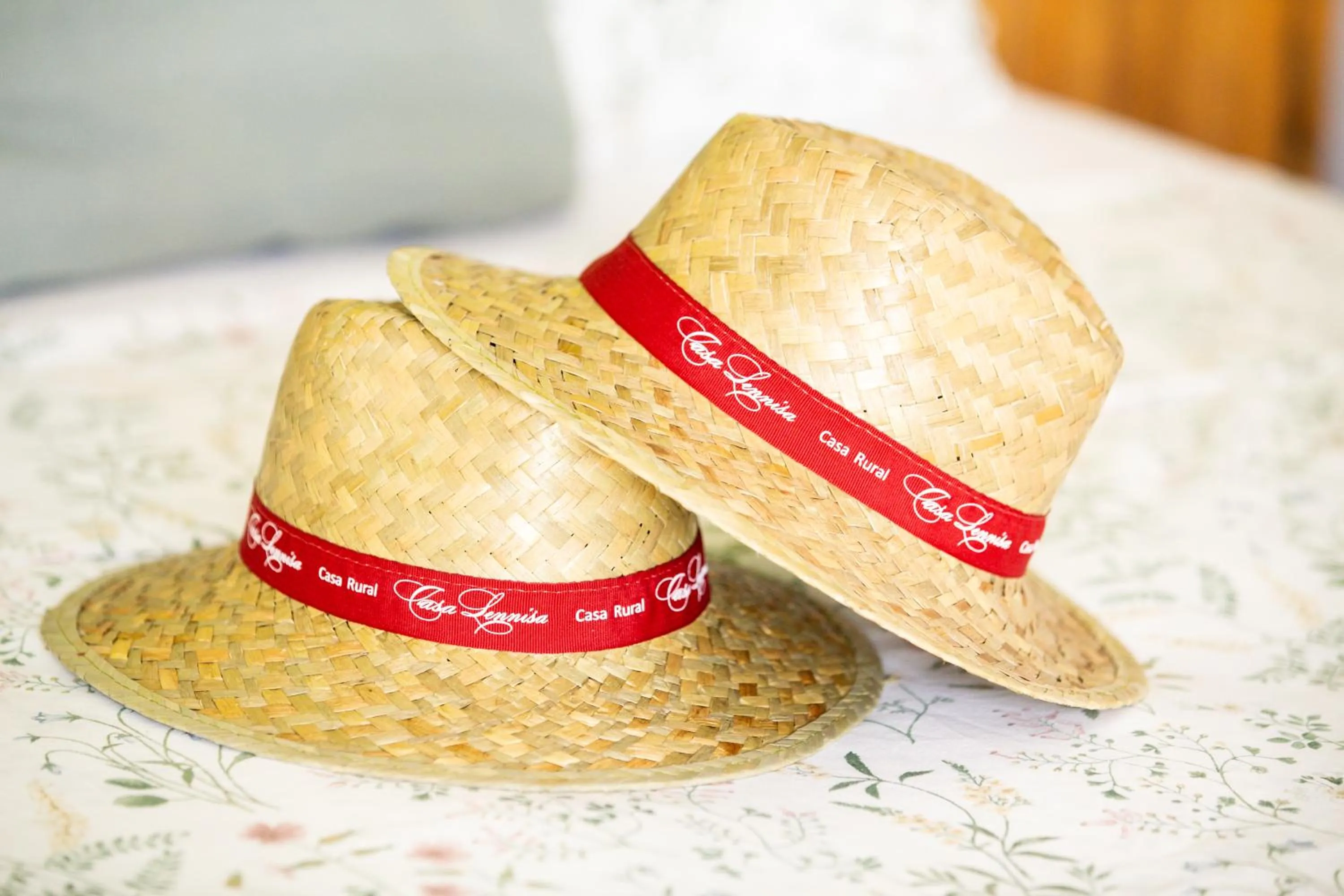 Decorative detail in Casa Lennisa