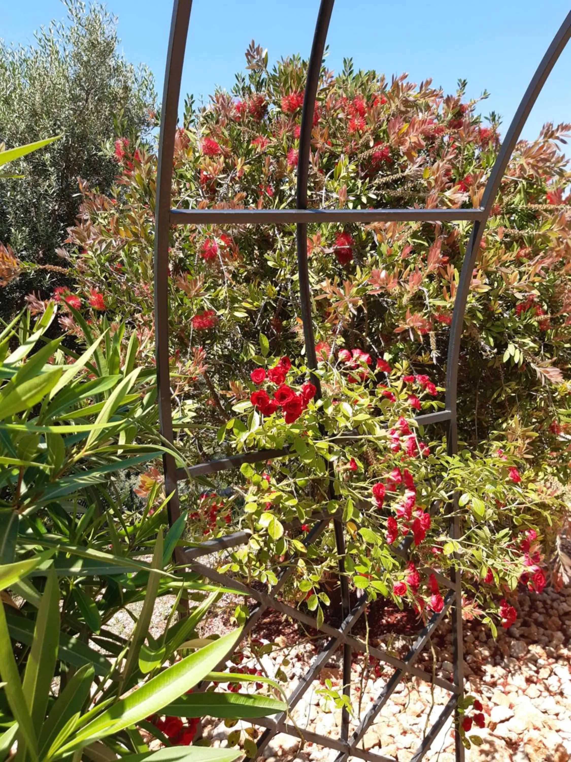 Garden in Casa Lennisa