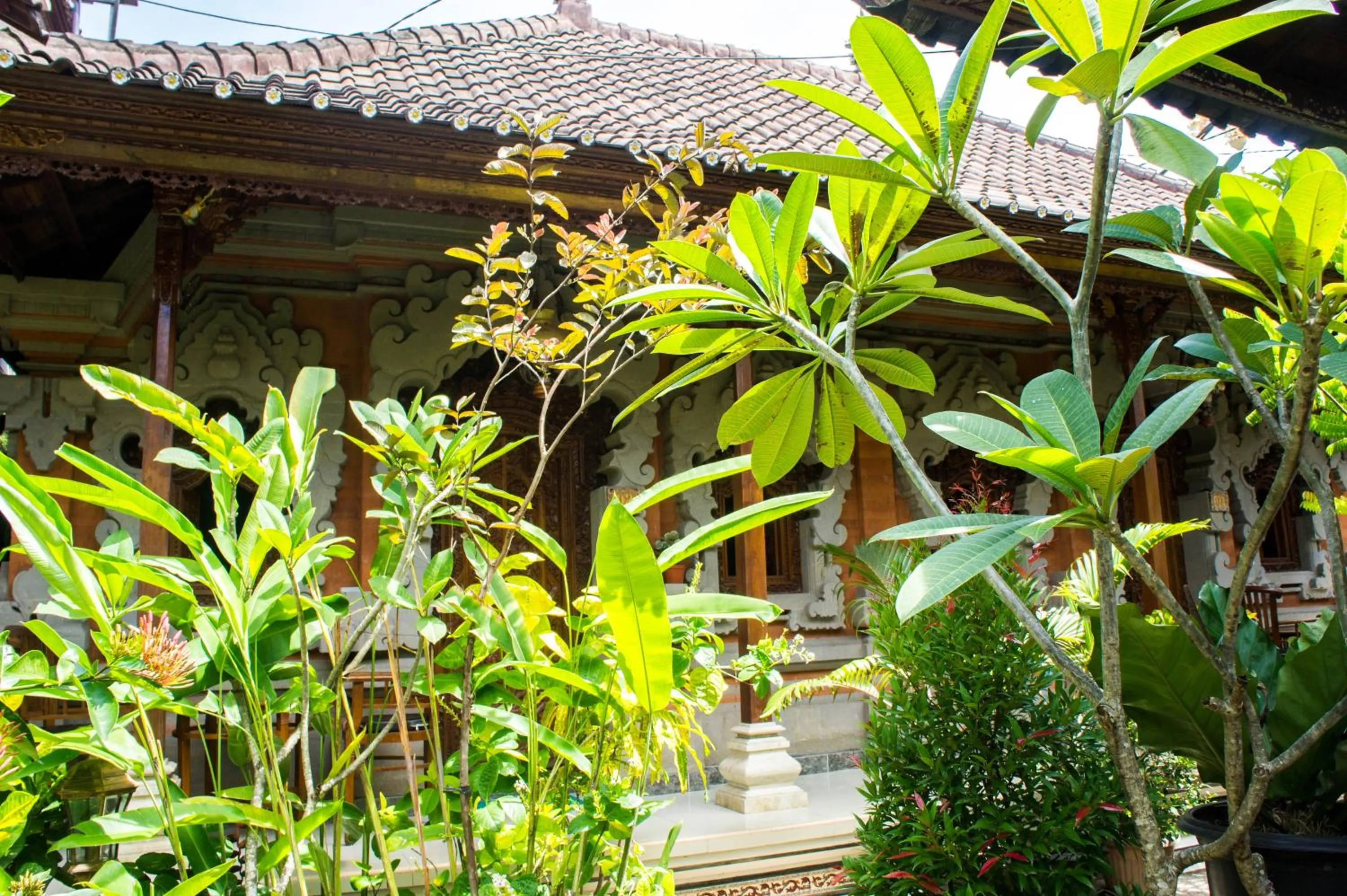 Garden in Shiva House