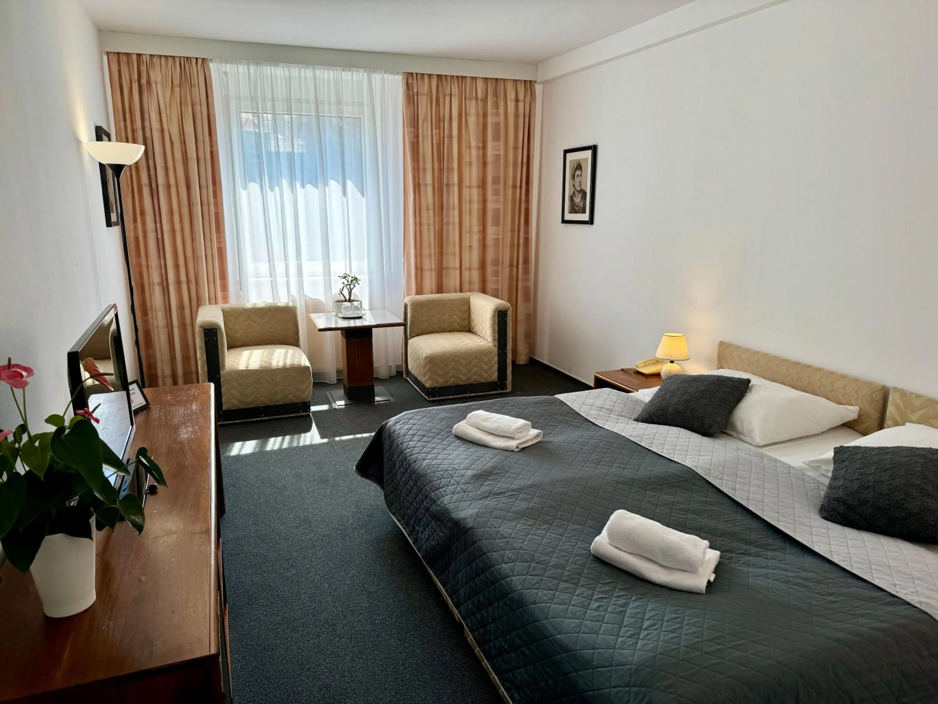 Photo of the whole room, Bed in A-Austerlitz Hotel