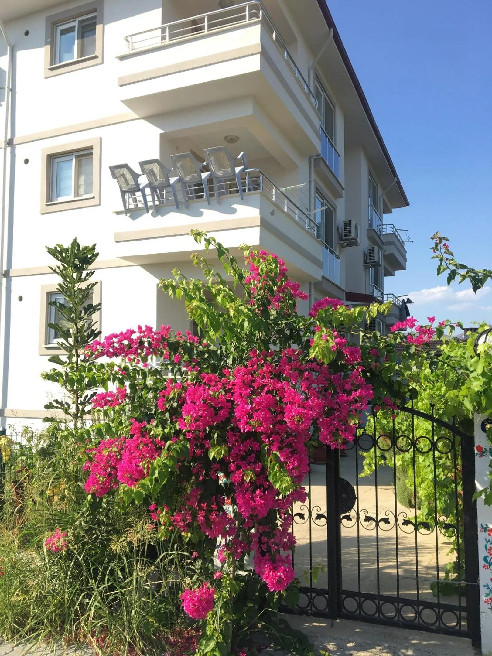 Dalaman Pansiyon & Family rooms