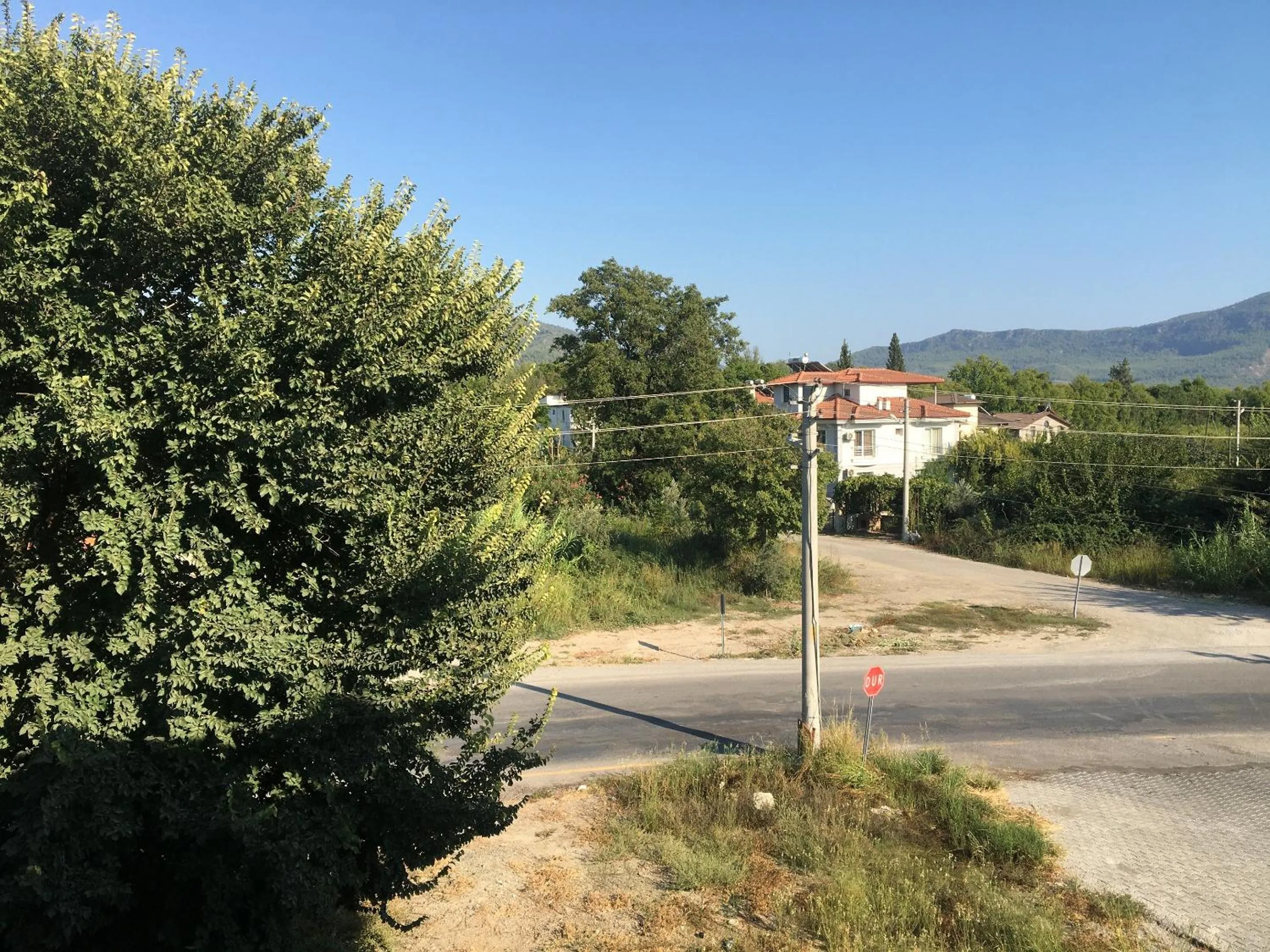 Garden view in Dalaman Pansiyon & Family rooms